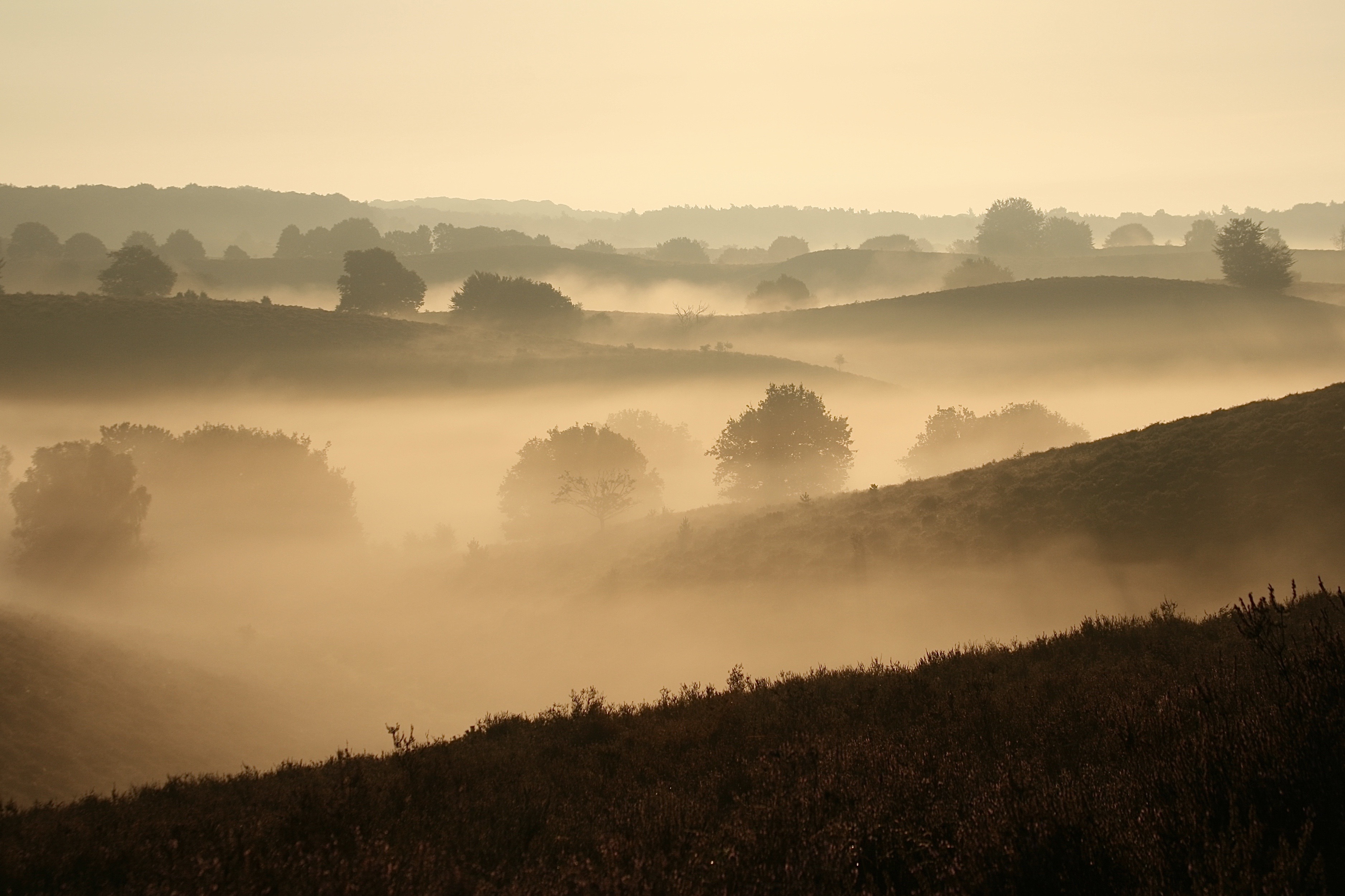 zonsopkomst-posbank-veluwe