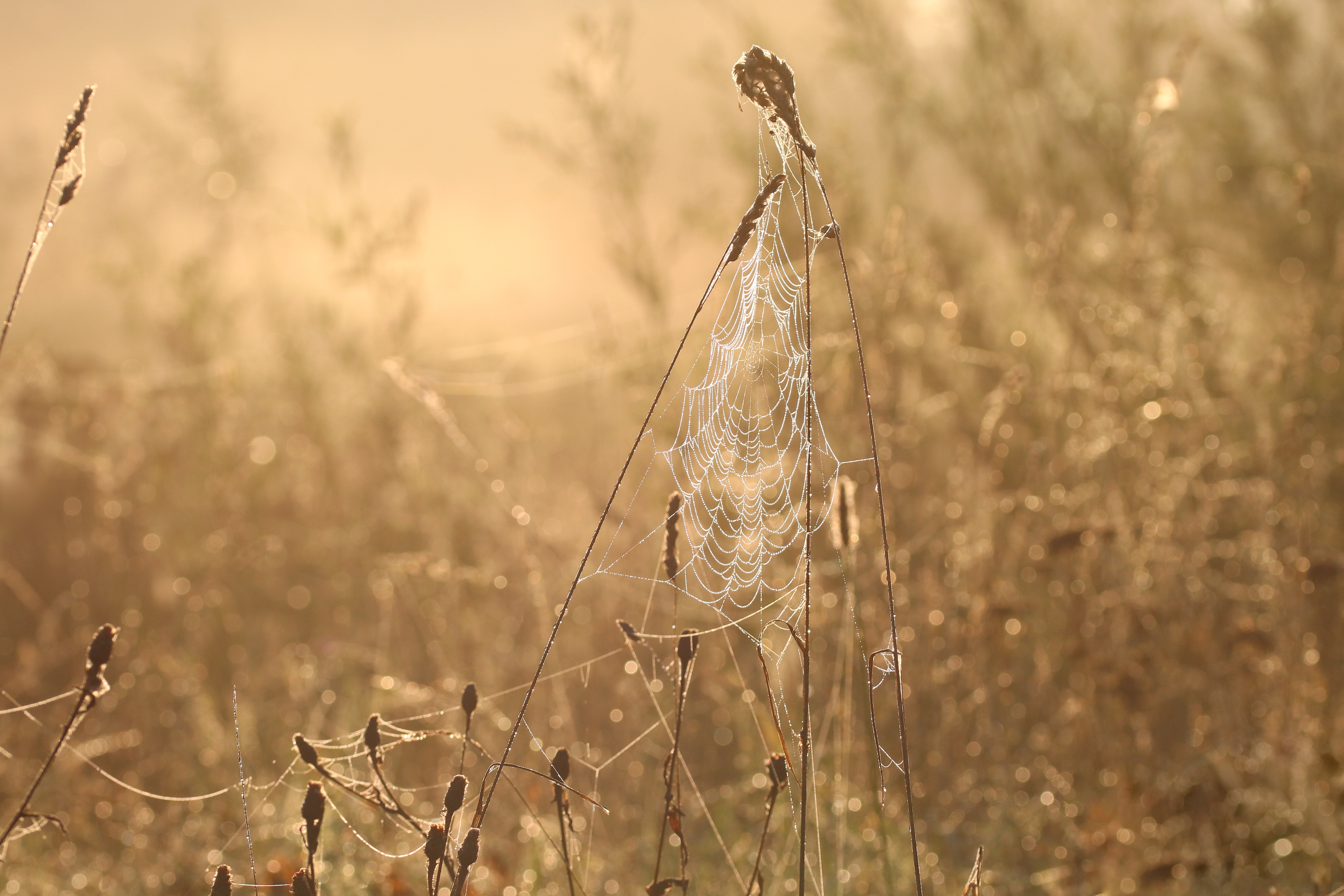 when-autumn-and-summer-meet