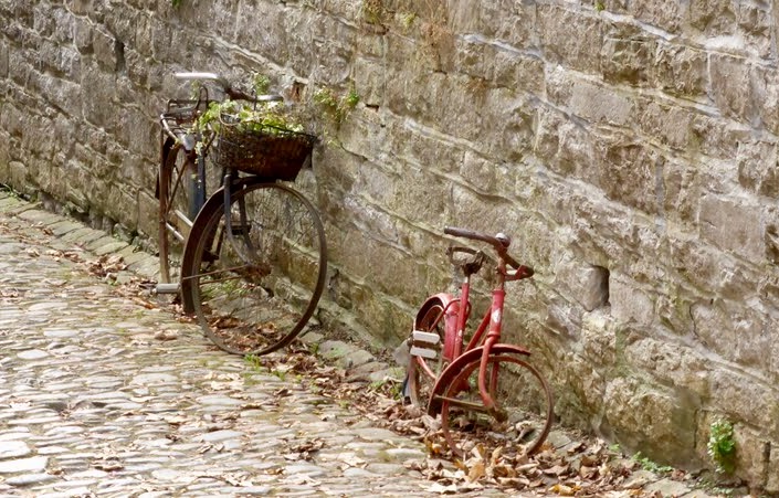fiets-in-rust