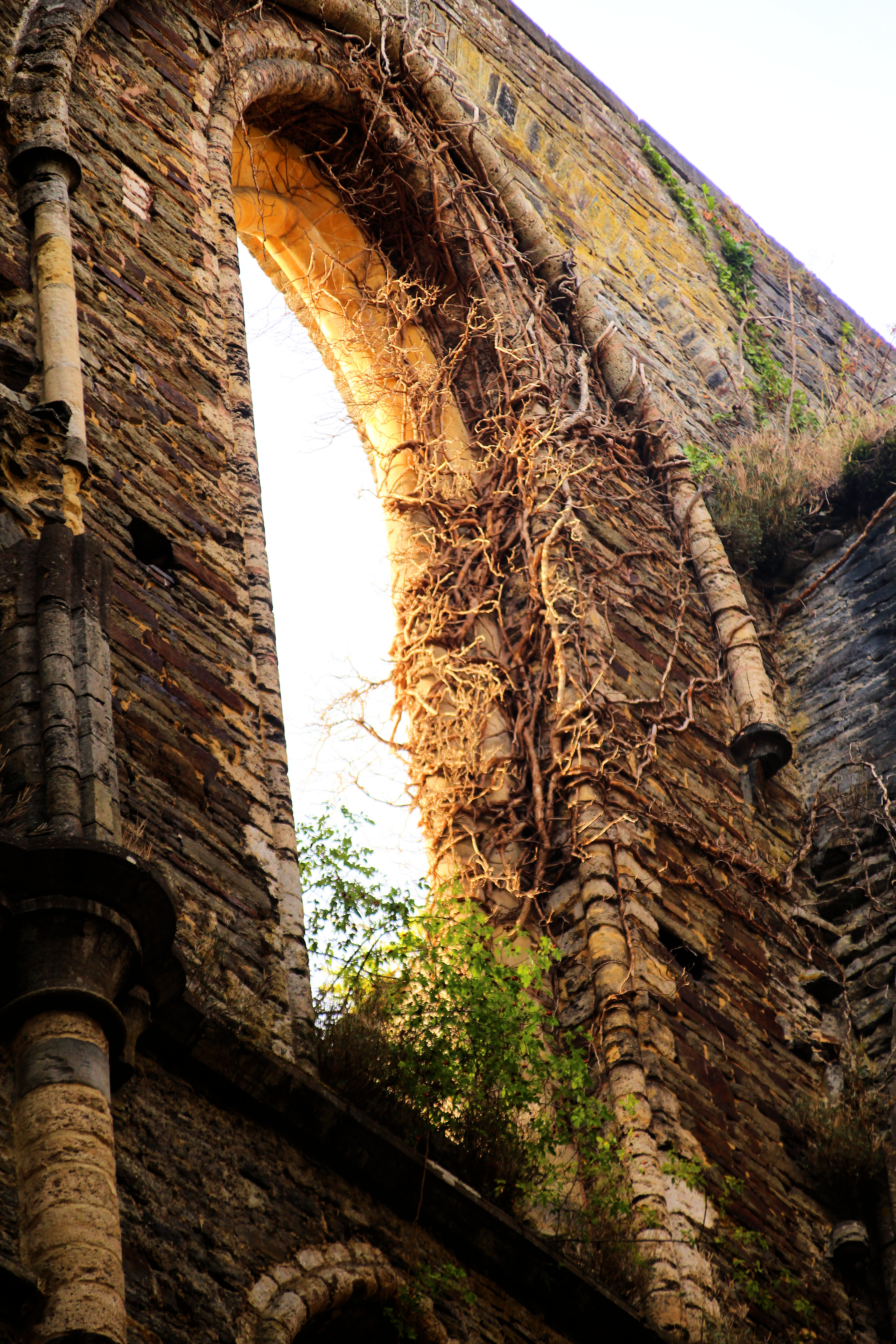 als-de-natuur-het-weer-overneemt