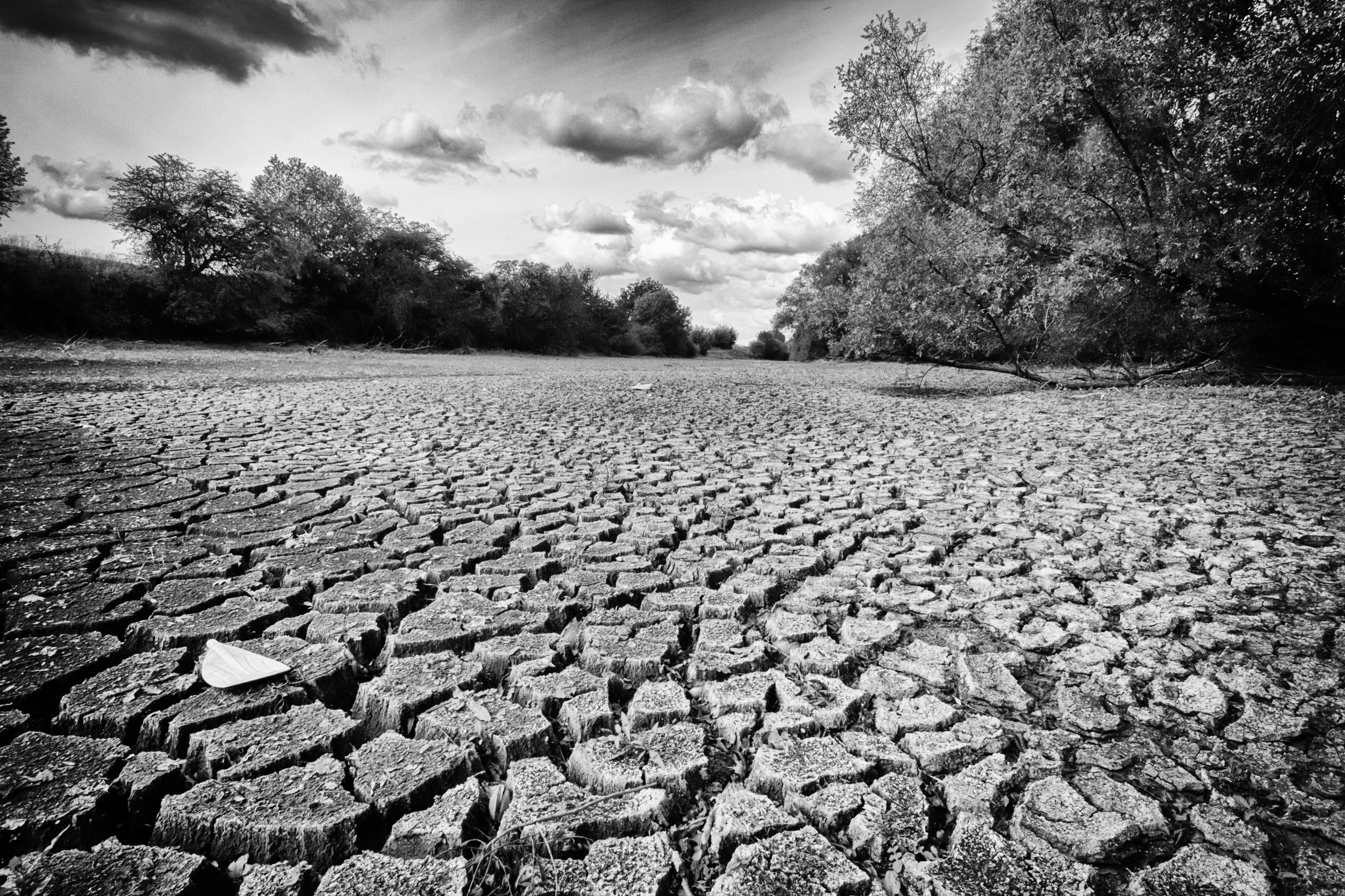 extreme-droogte-zomer-2018