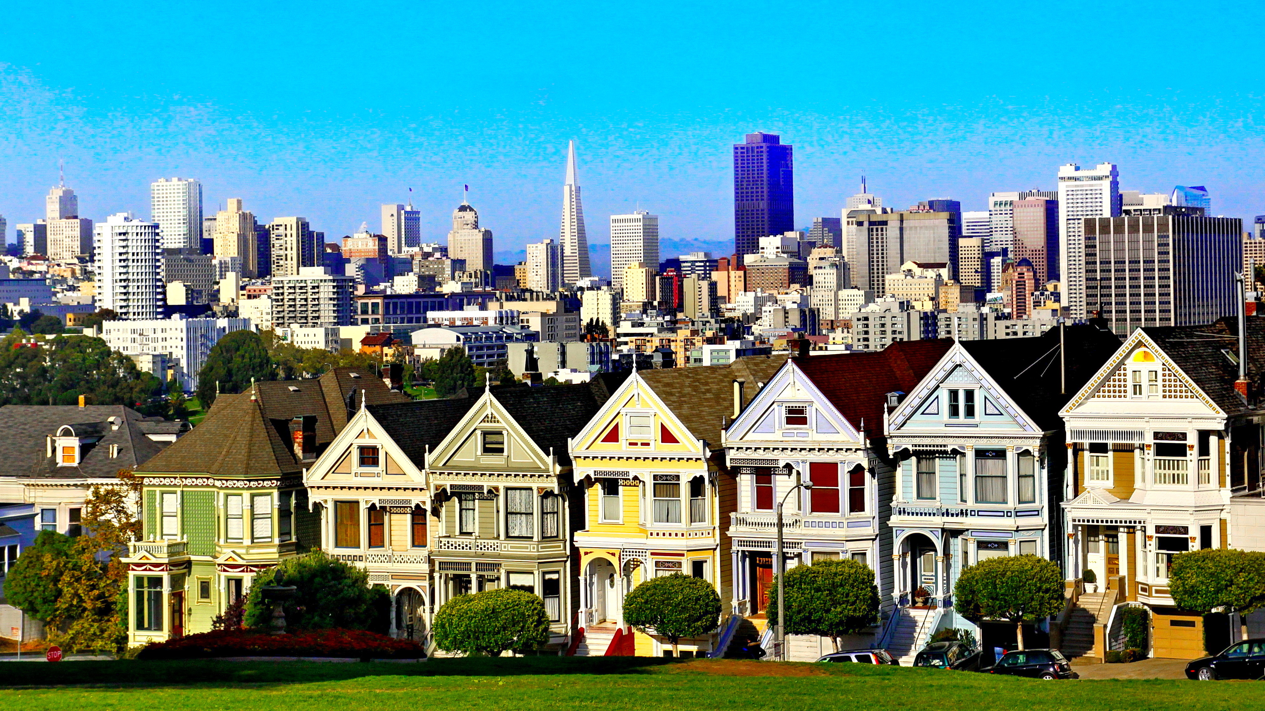 the-painted-ladies