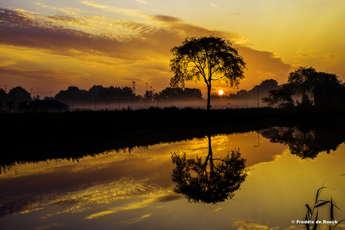 zonsopkomst-vanuit-natuurpark-moerenburg