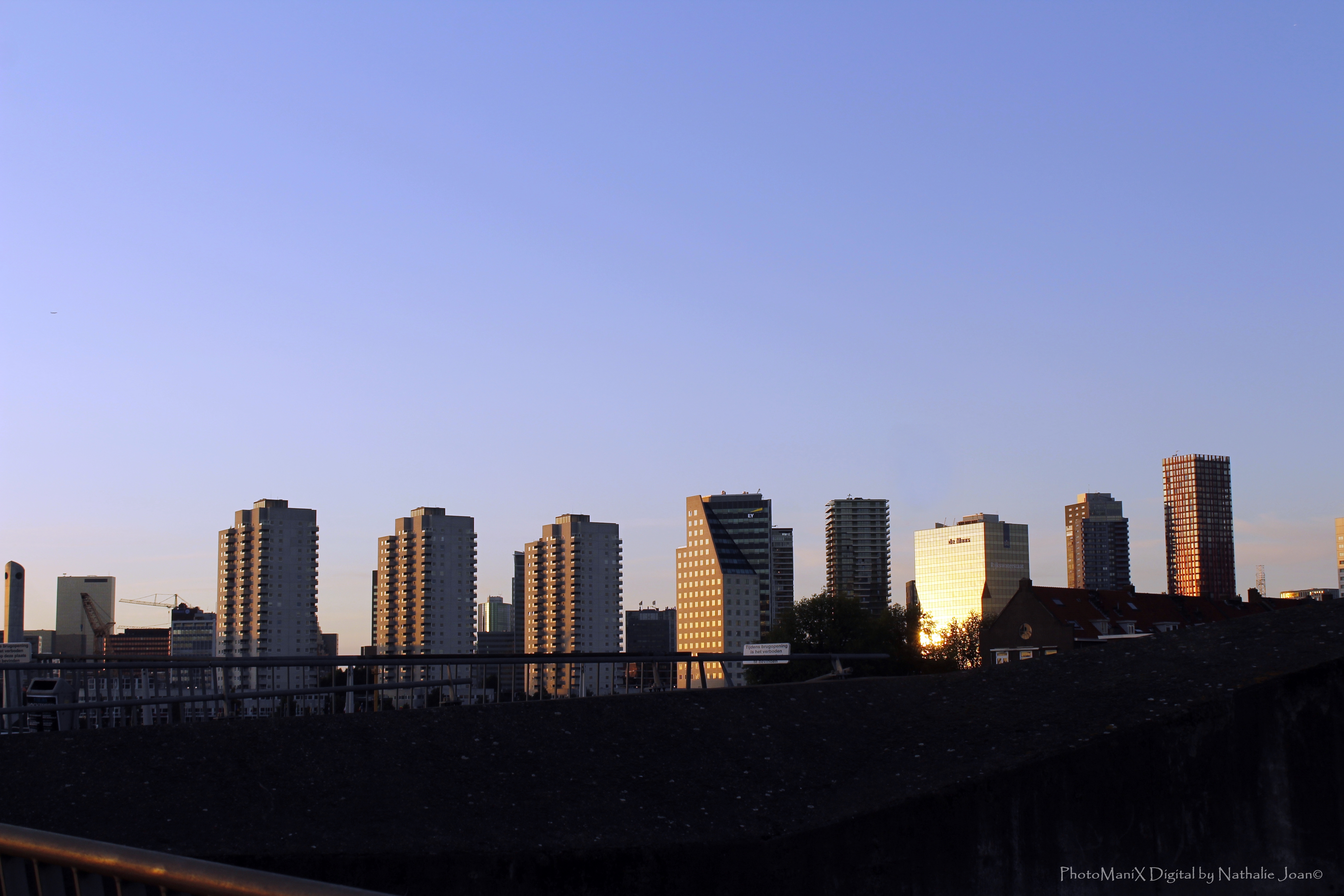 rotterdam-skyline-buildings