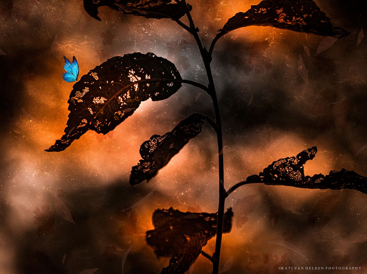 sleep-tight-darling-in-the-mood-of-love