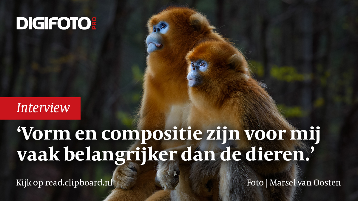 van-reclameman-tot-natuurfotograaf-in-afrika