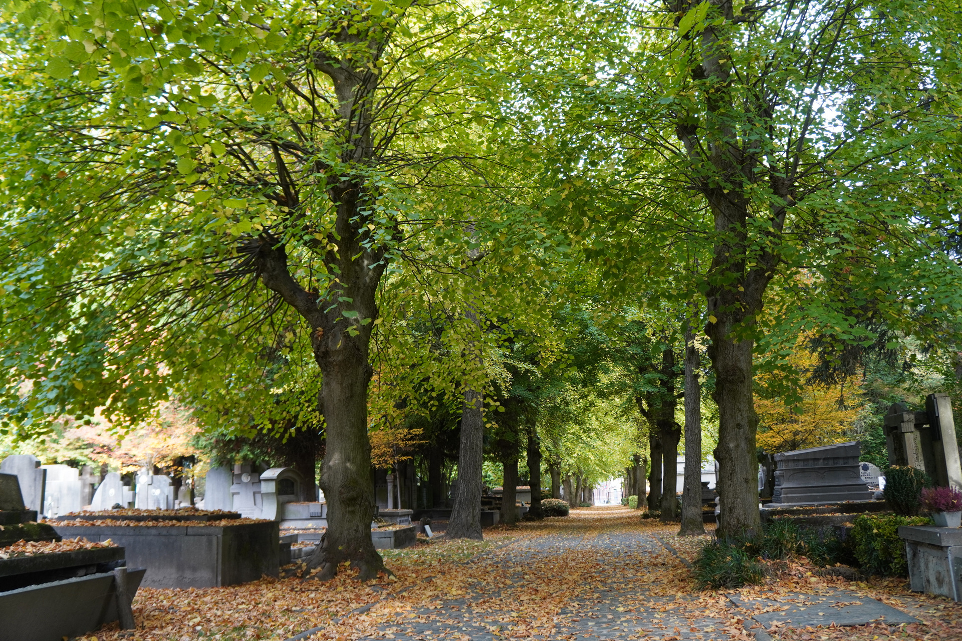 herfstsfeer-2