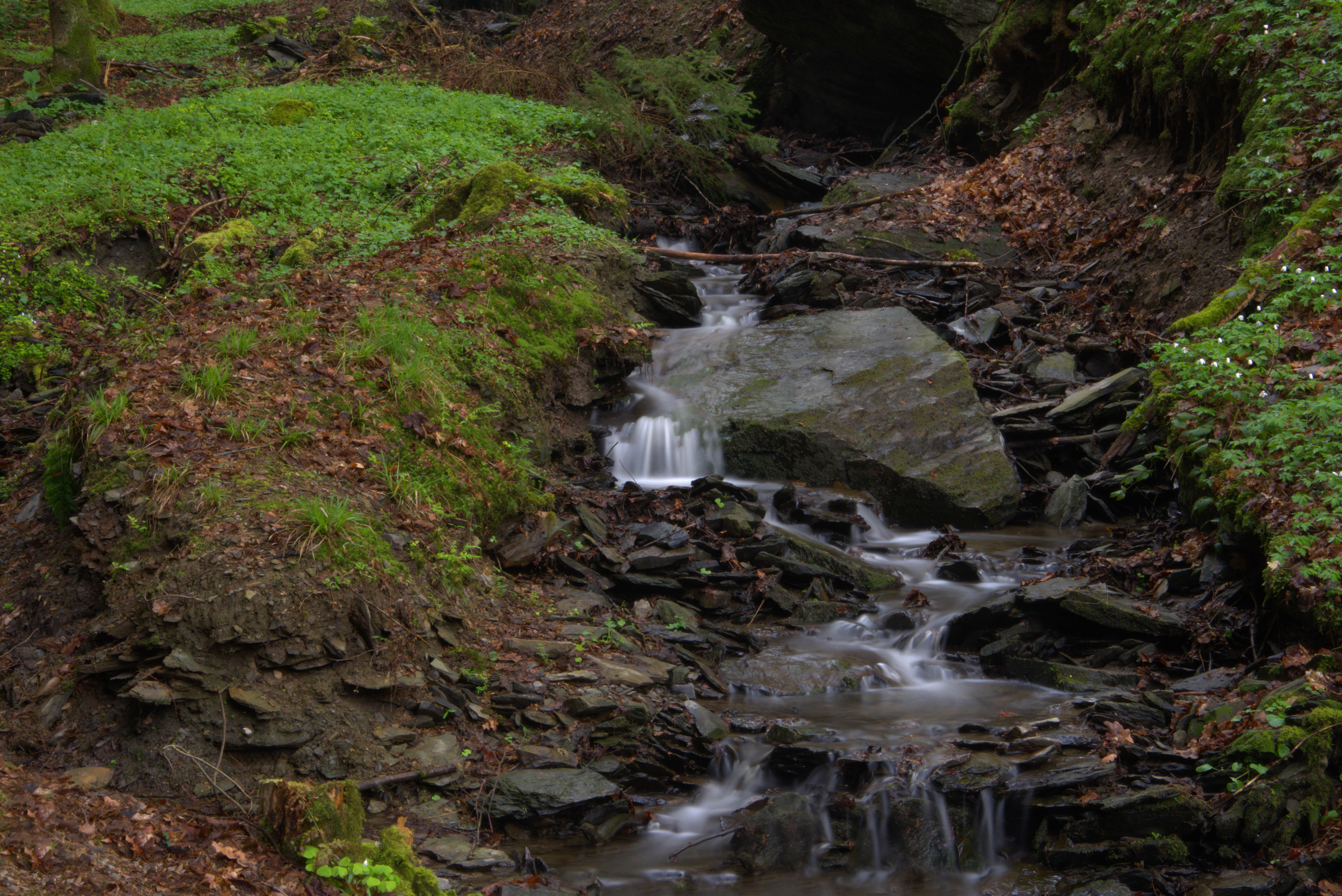 een-stroom-in-de-ardennen