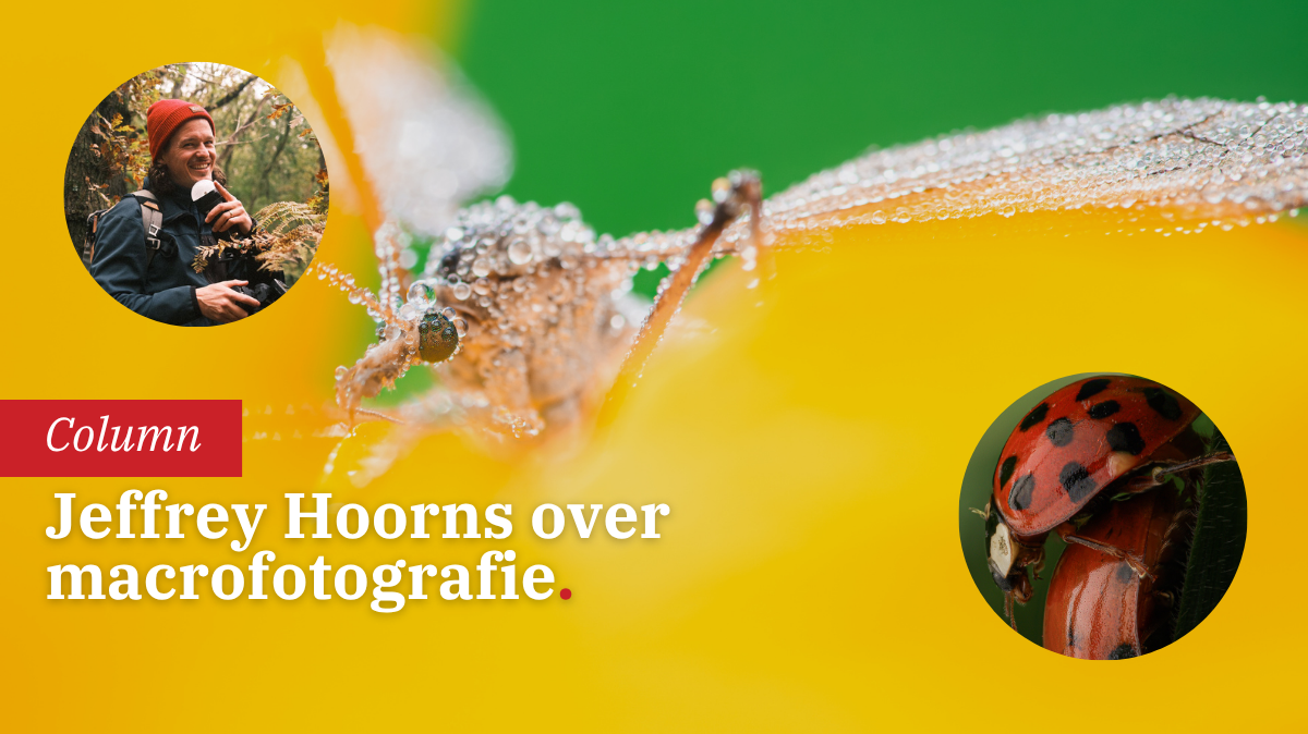 macrofotografie-geavanceerde-technieken