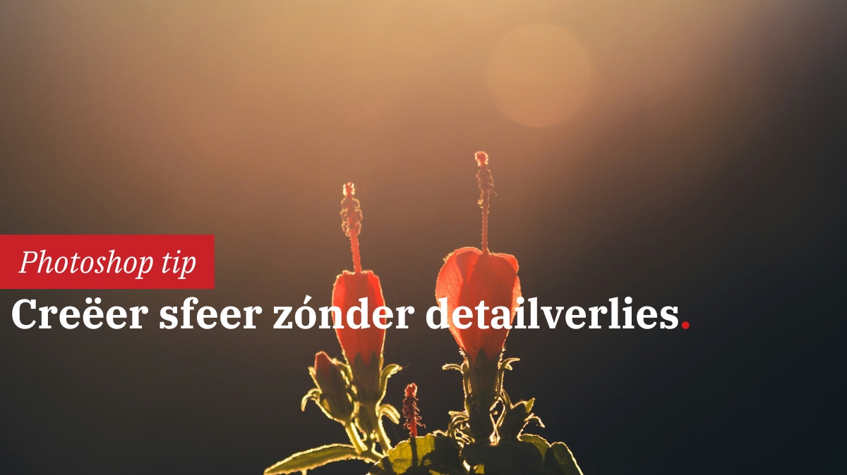 soft-glow-in-photoshop-creeer-sfeer-zonder-detailverlies