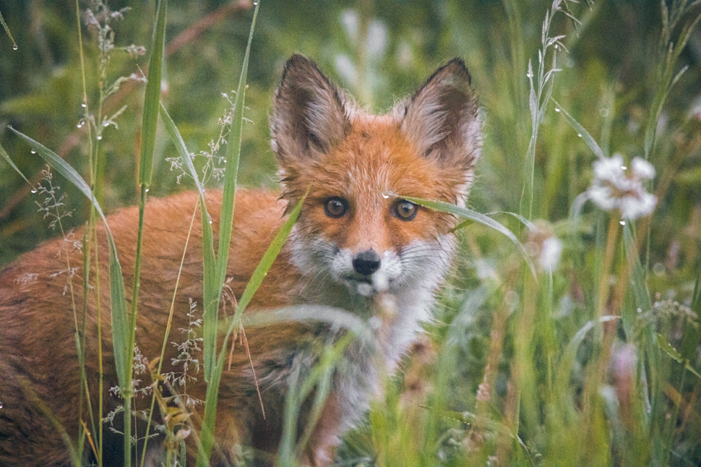 10-tips-om-beter-te-leren-fotograferen
