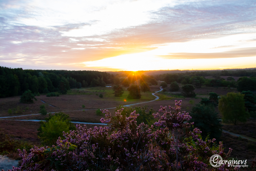 zonsopkomst-brunssummerheide