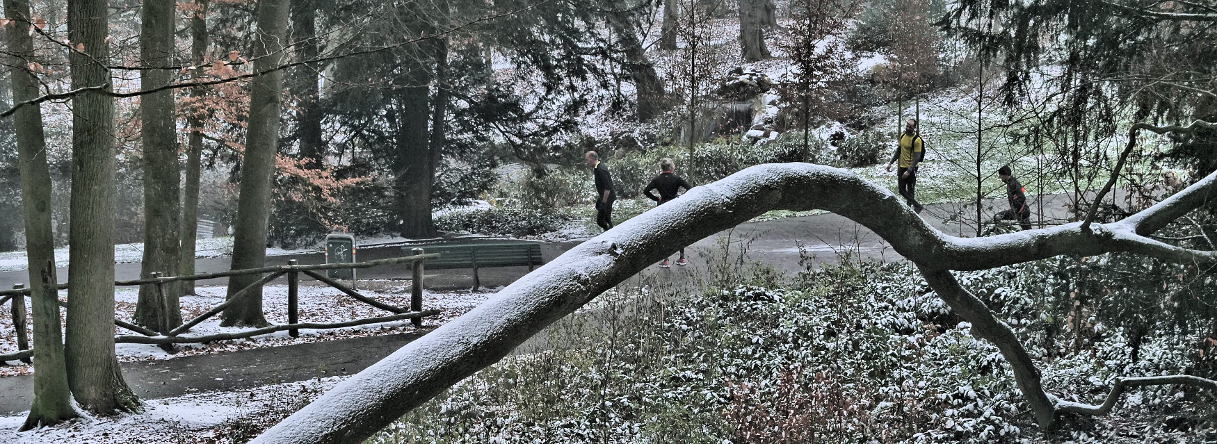 zondagmorgen-sonsbeek