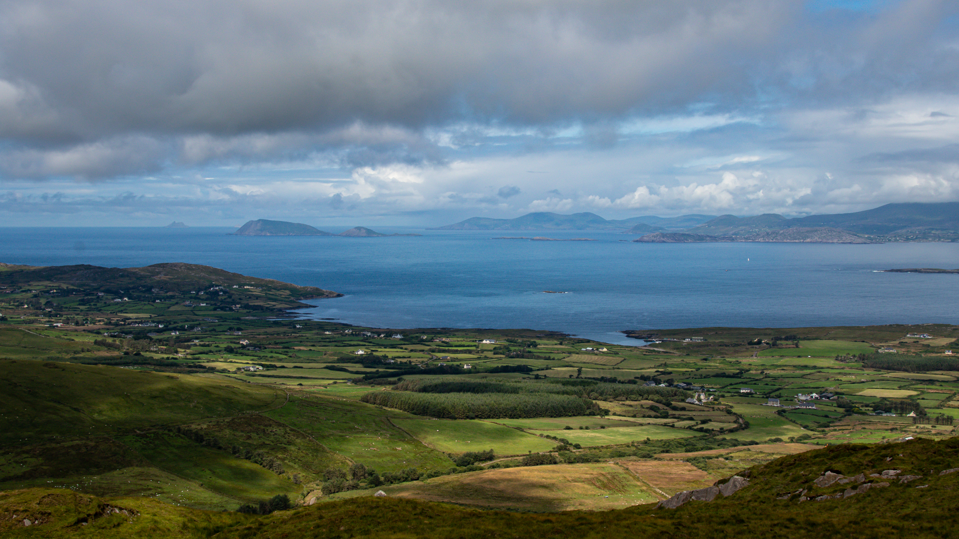 walking-the-bearaway