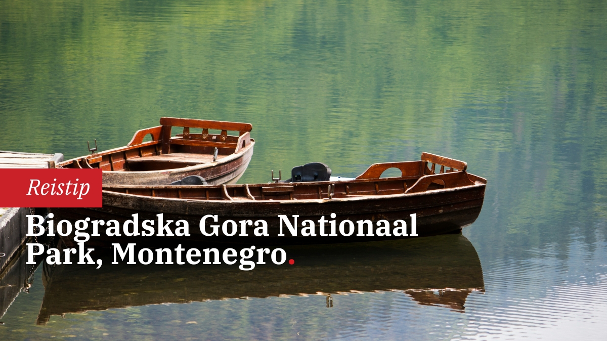biogradska-gora-nationaal-park-voor-fotografen