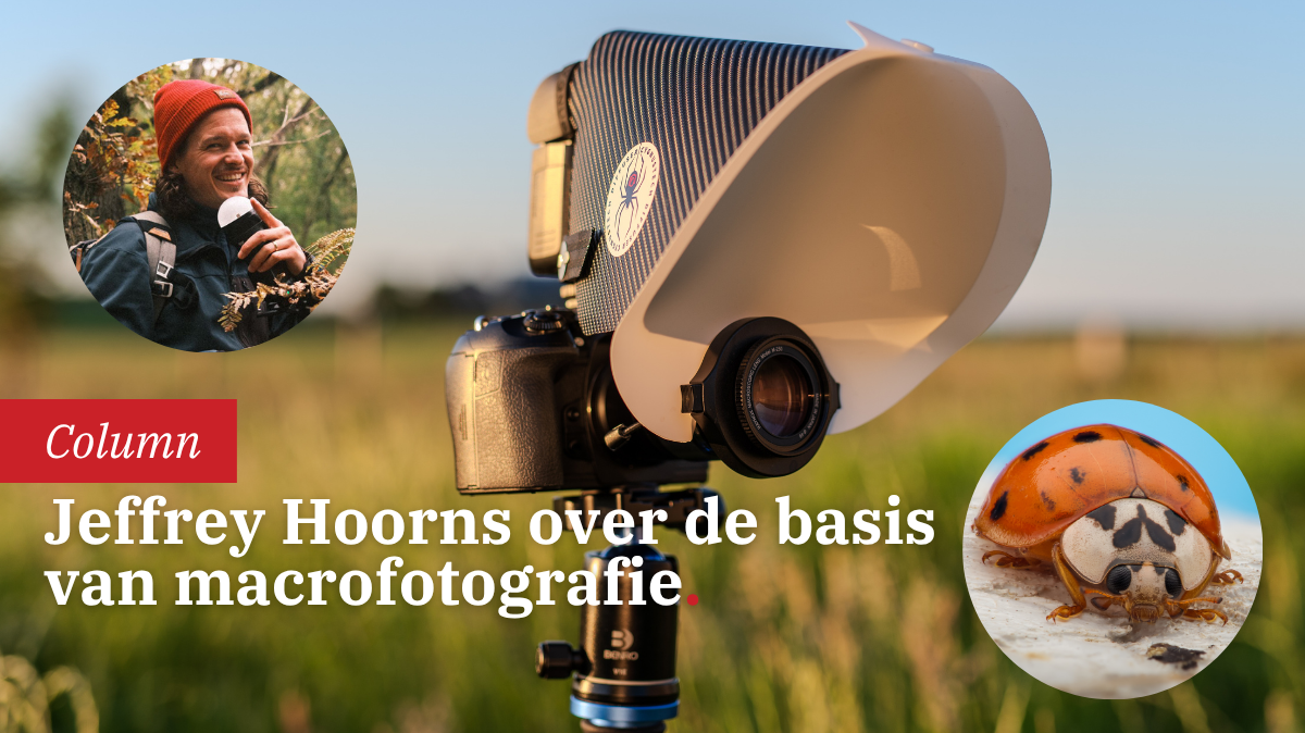 macrofotografie-apparatuur-en-instellingen