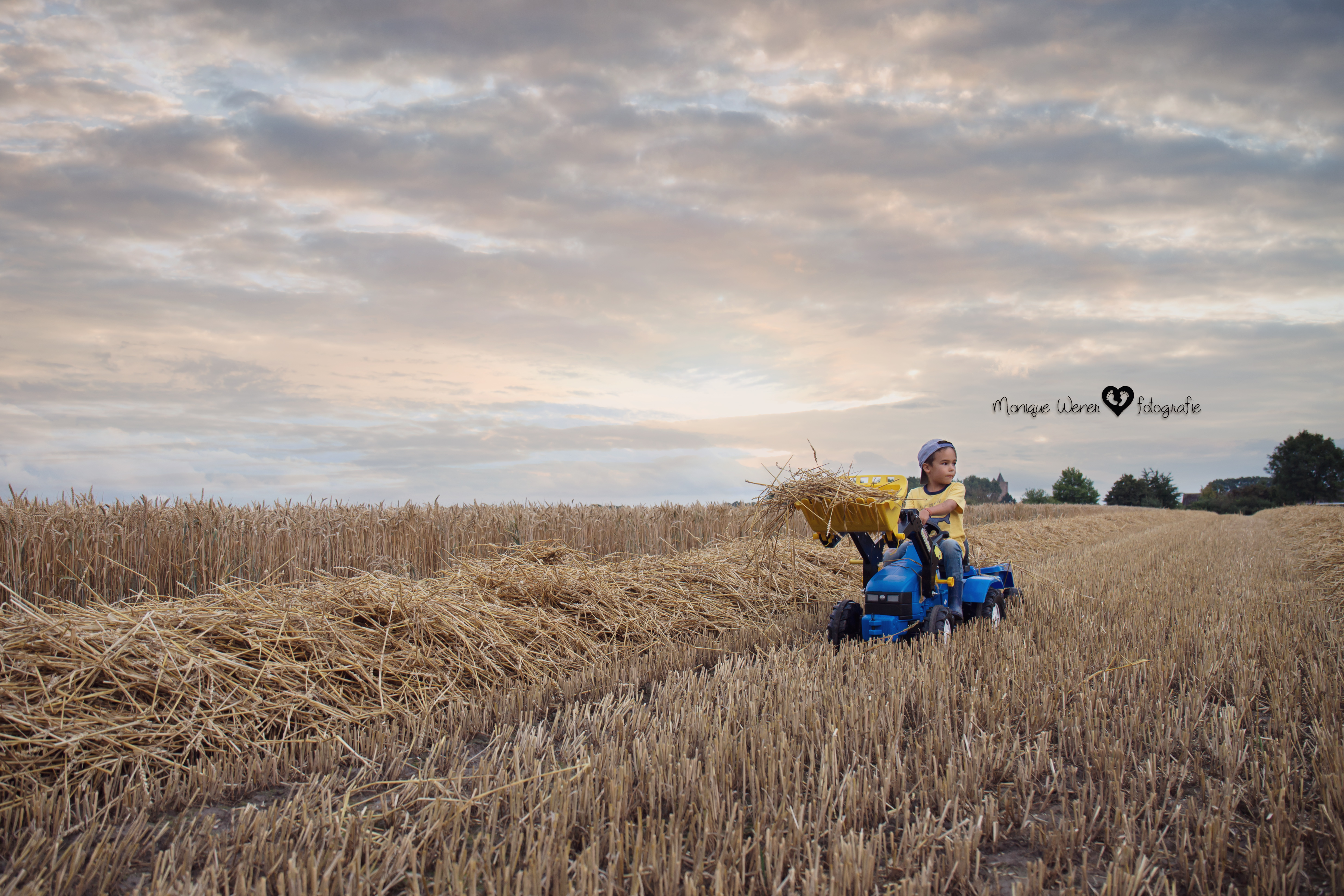 graanoogst-binnen-halen