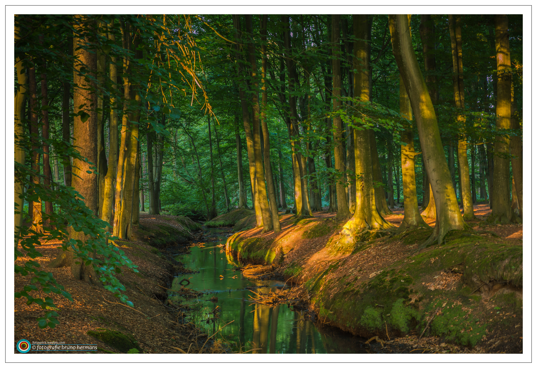 peerdsbos-zonsopgang