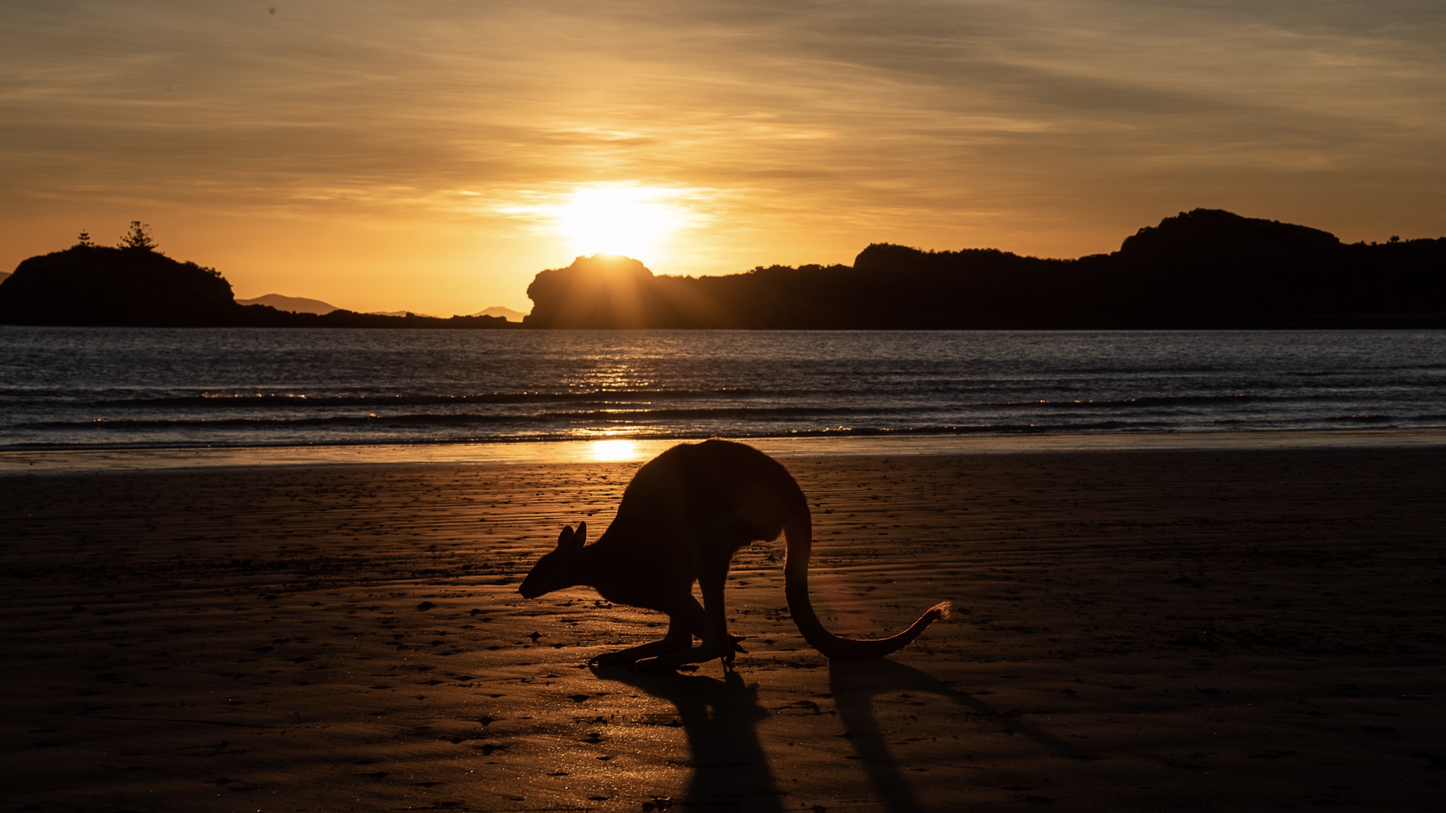 sunrise-at-the-beach