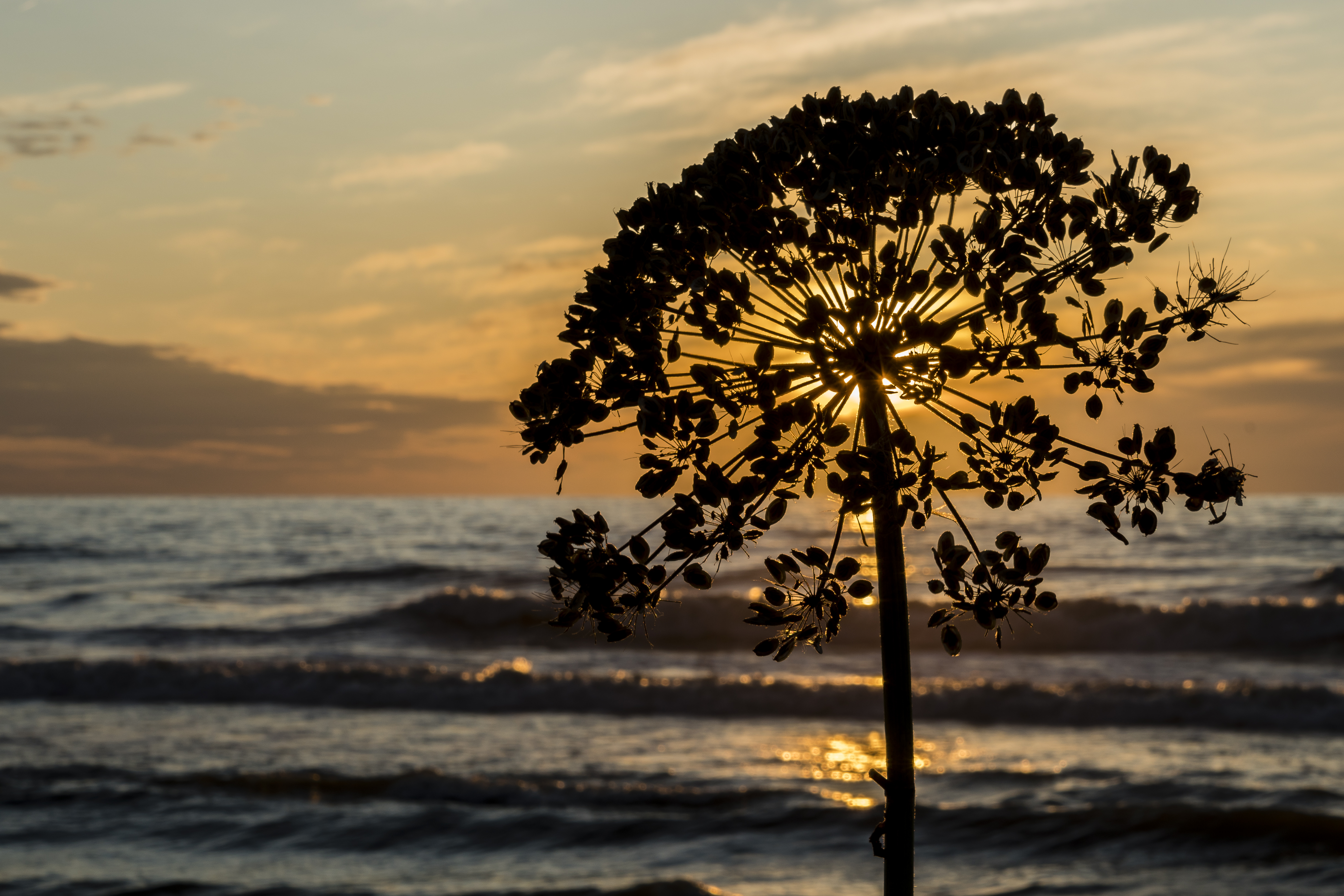 ondergaande-zon-scheveningen