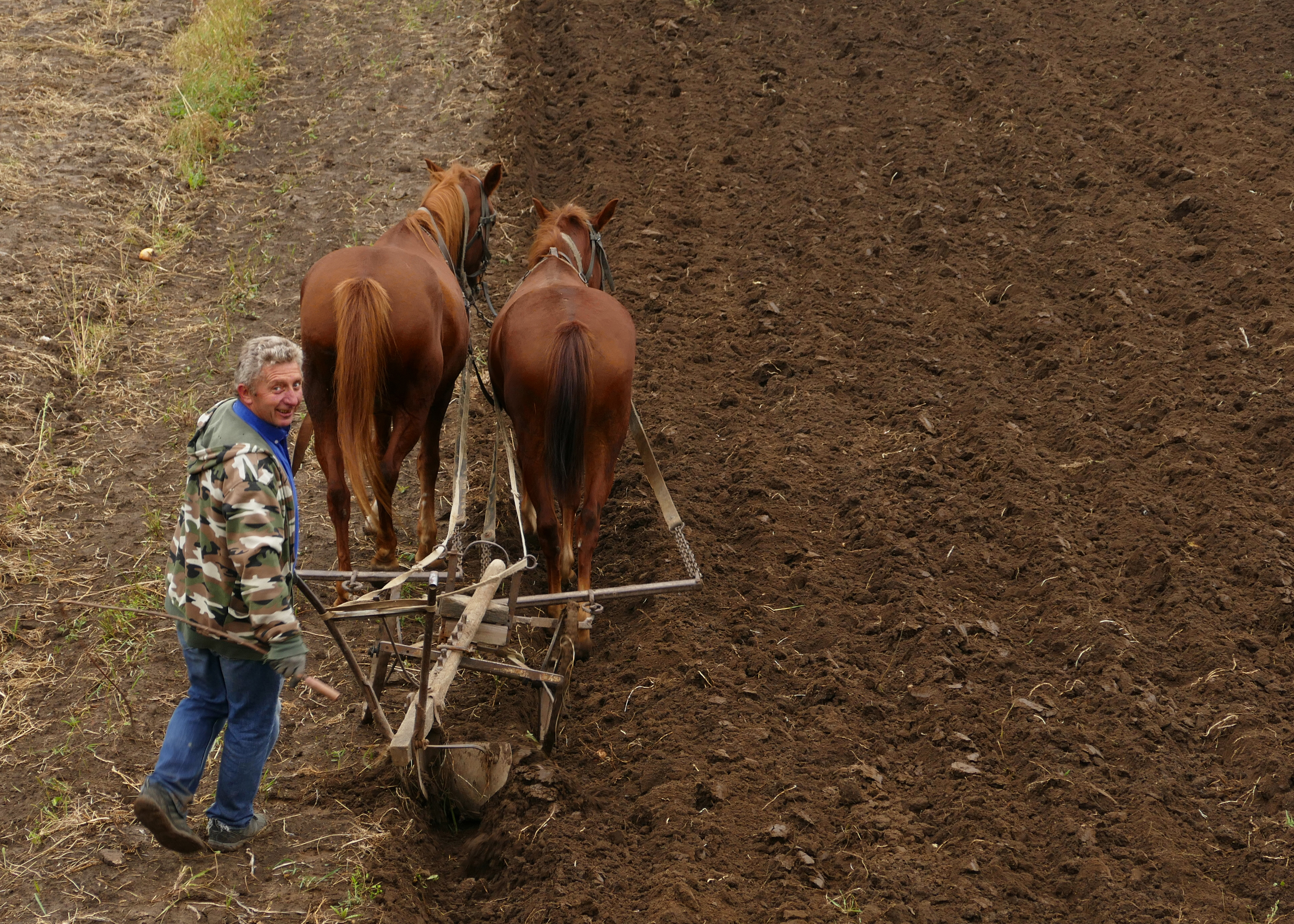gespot-in-de-oekraine