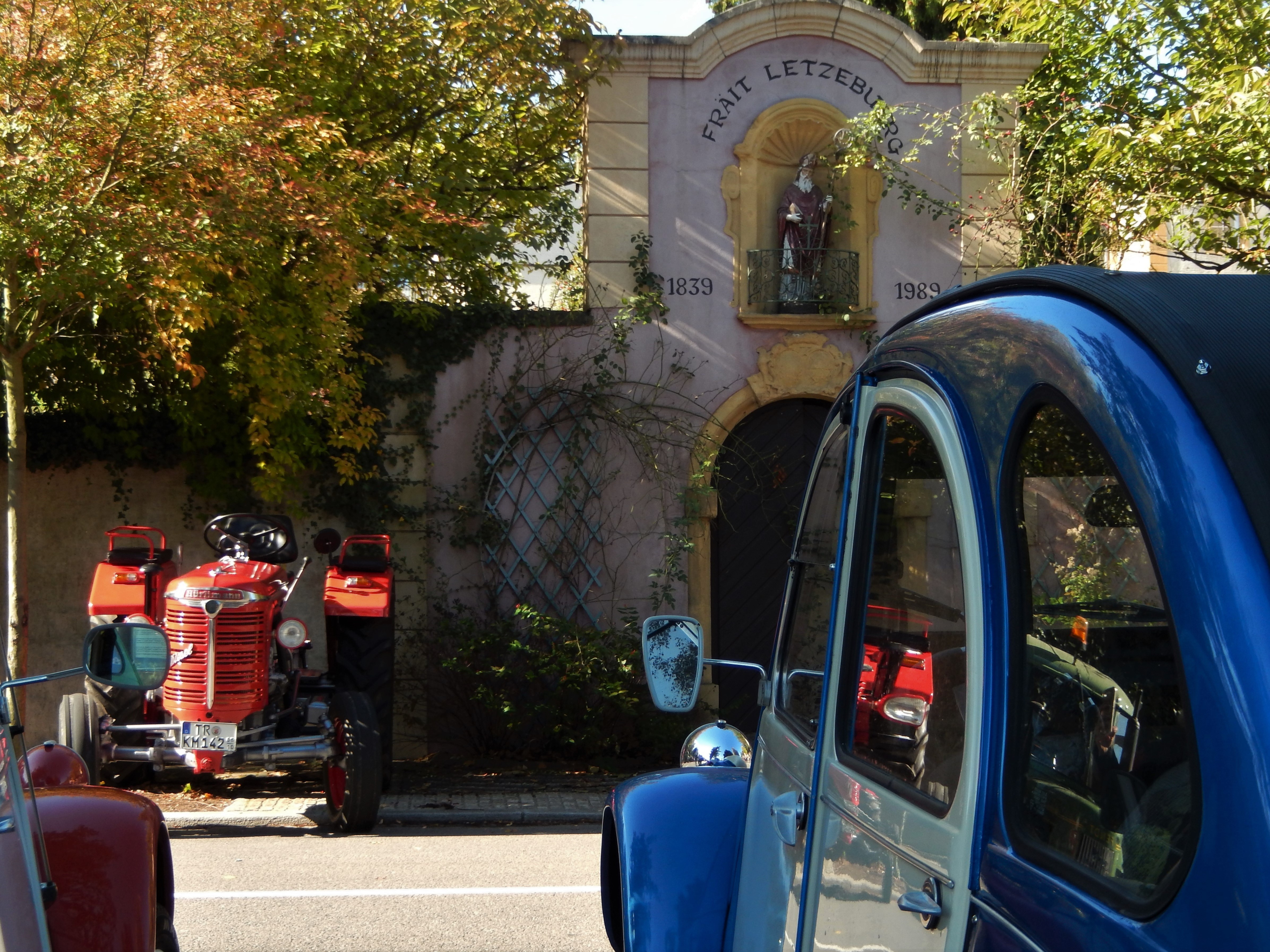 werkpaarden-in-schengen