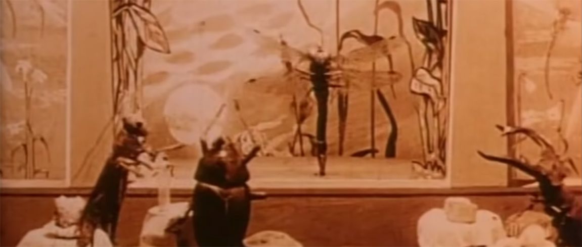 hoe-een-insectenverzamelaar-stop-motion-versnelde