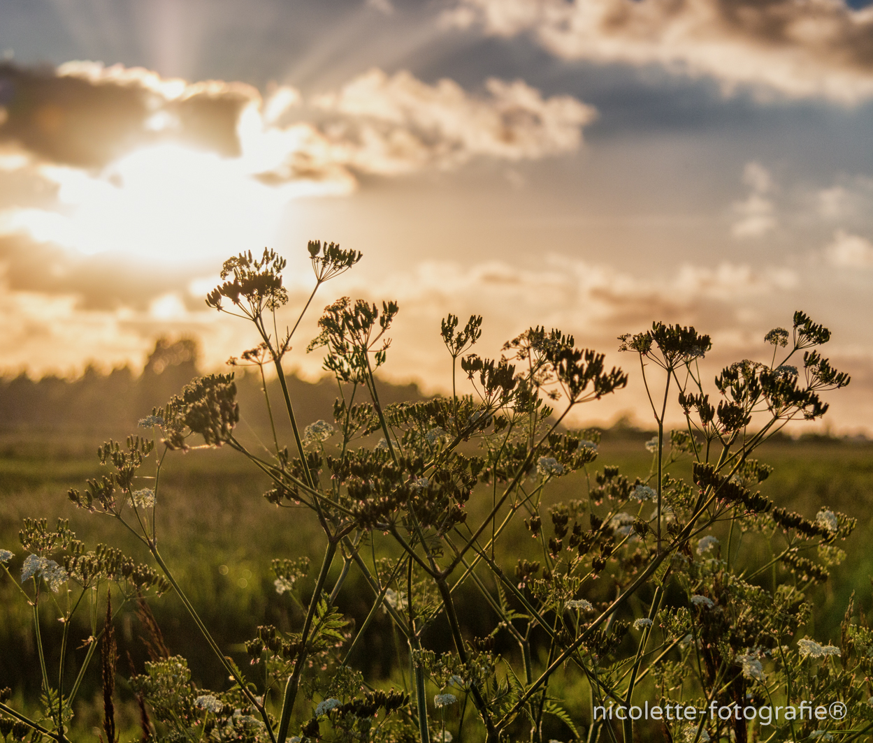 zonsondergang-in-de-alde-faenen