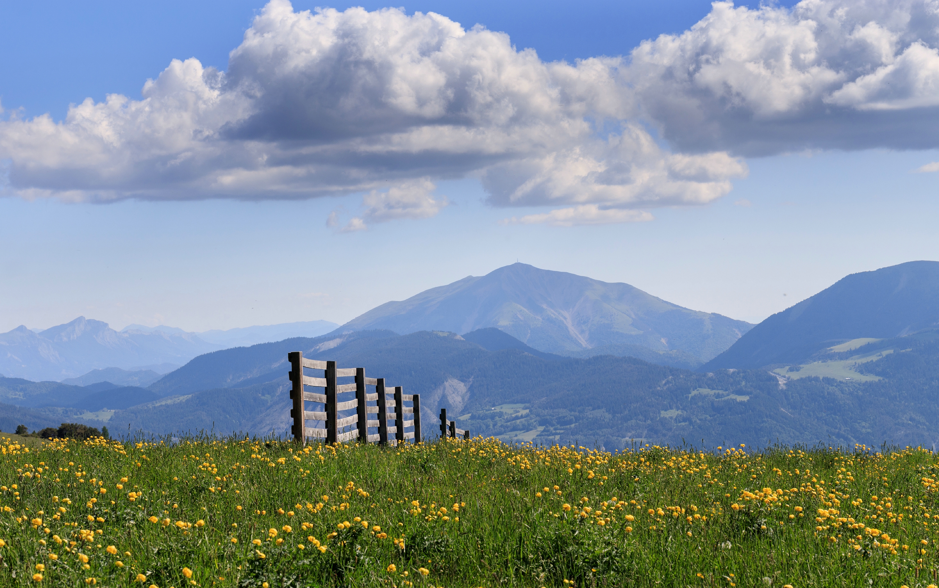 hekje-op-de-alpenweide