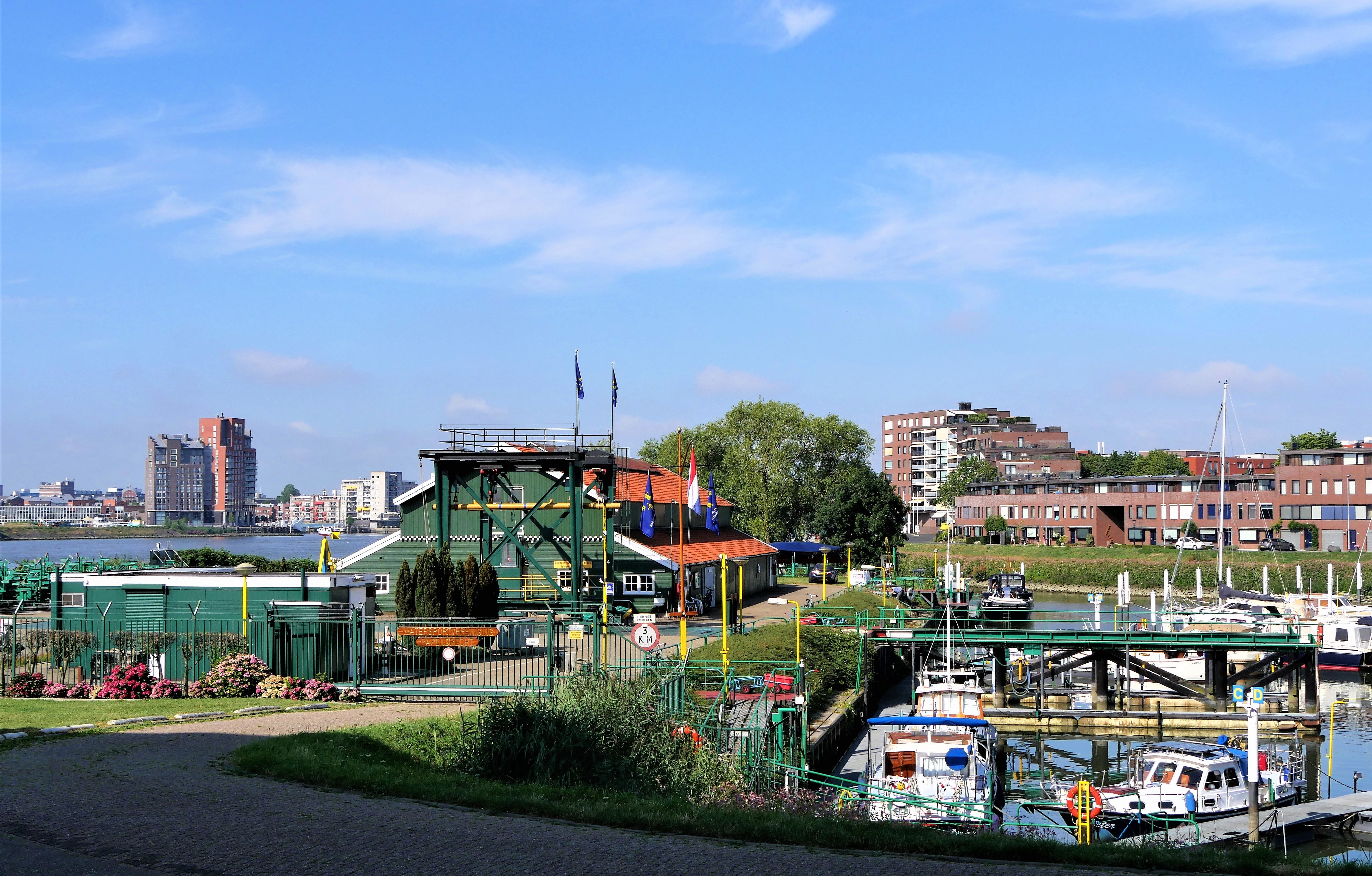 hollandse-zomer-water-en-zon