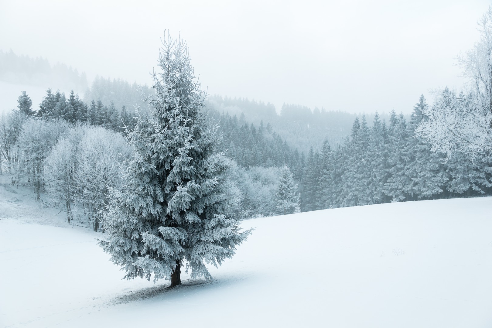 neuastenberg-d-winter-2019