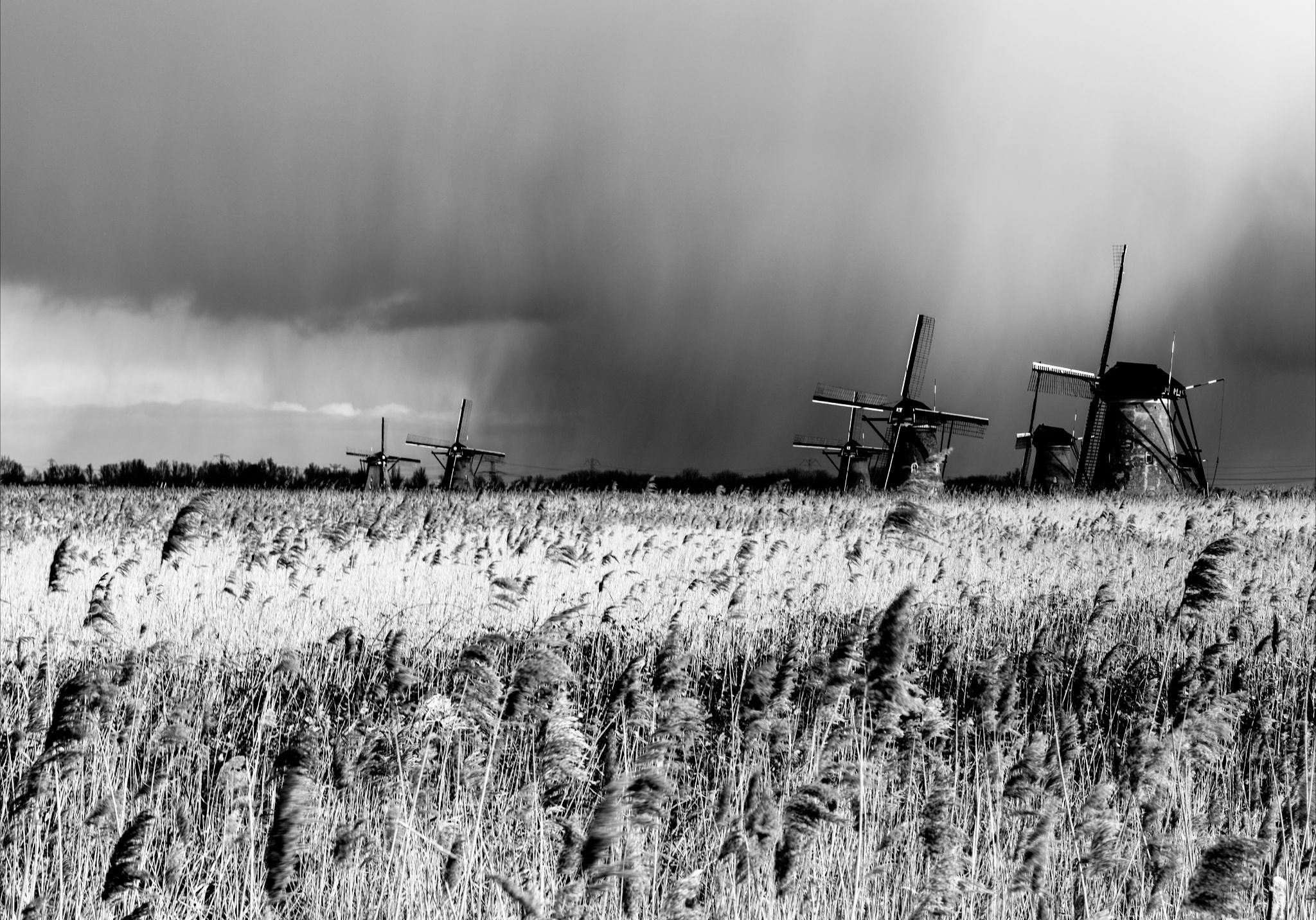 regen-op-kinderdijk