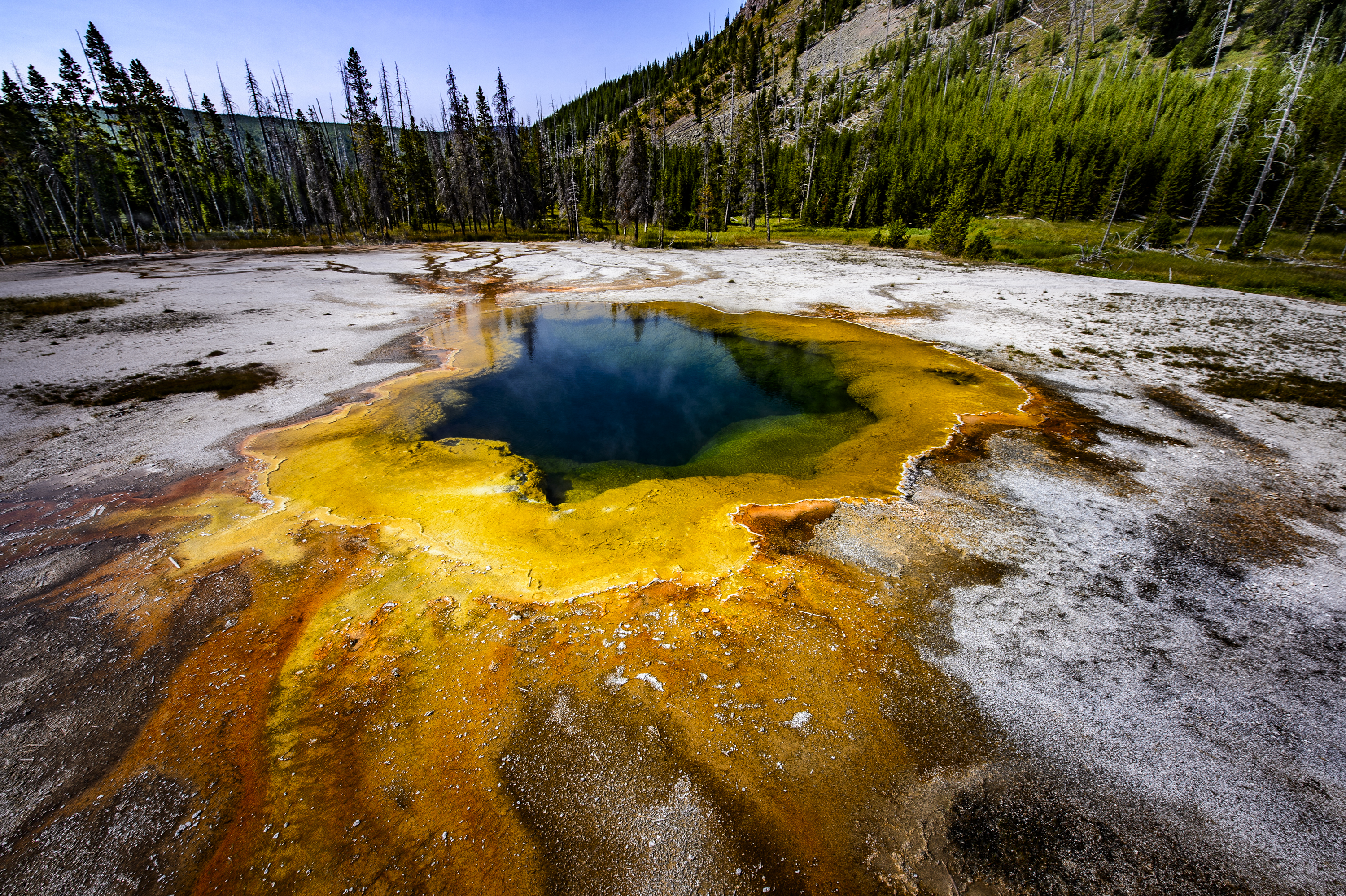 yellowstone-mammoth-0
