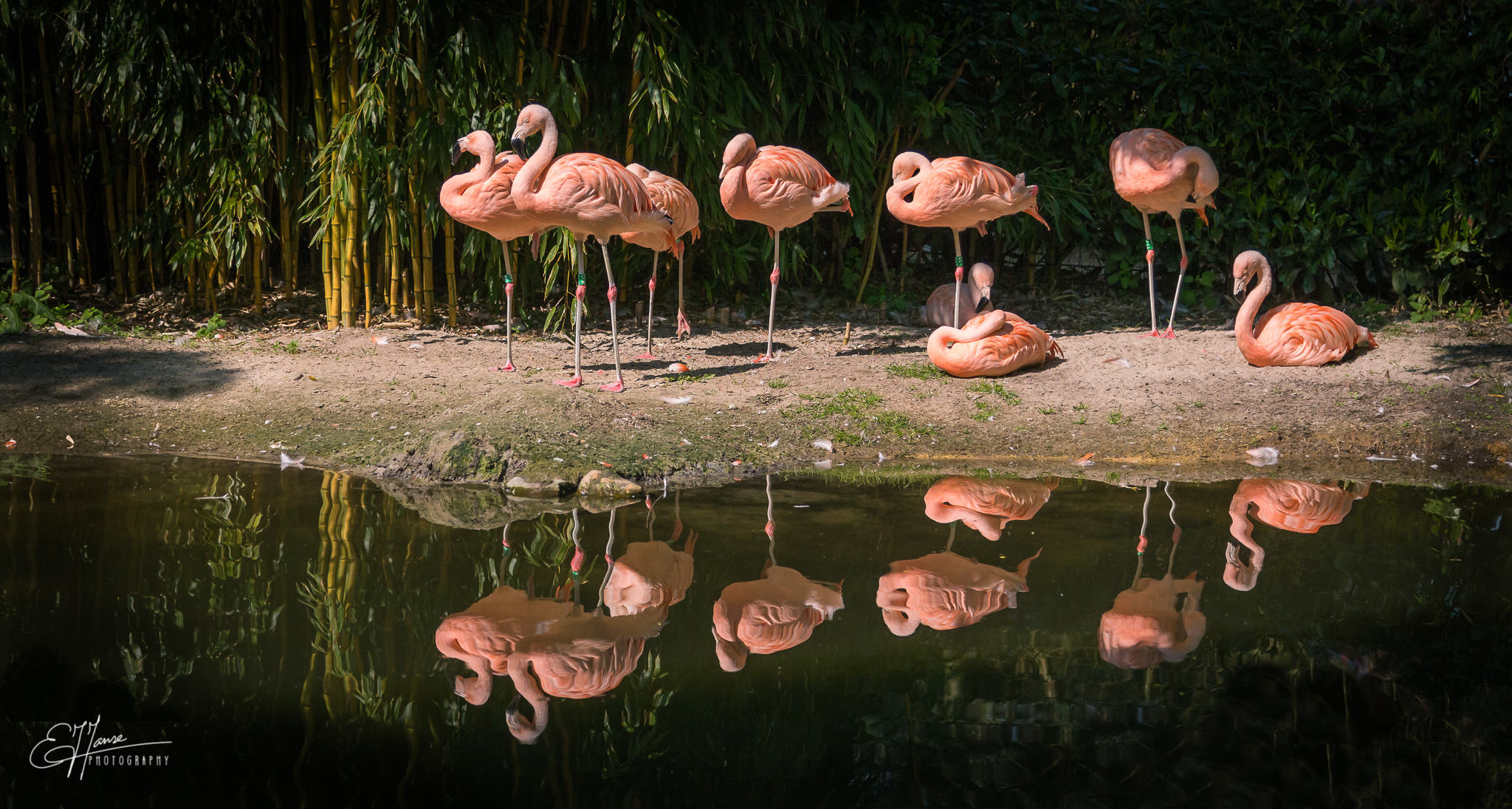 teruggetrokken-in-the-spotlights
