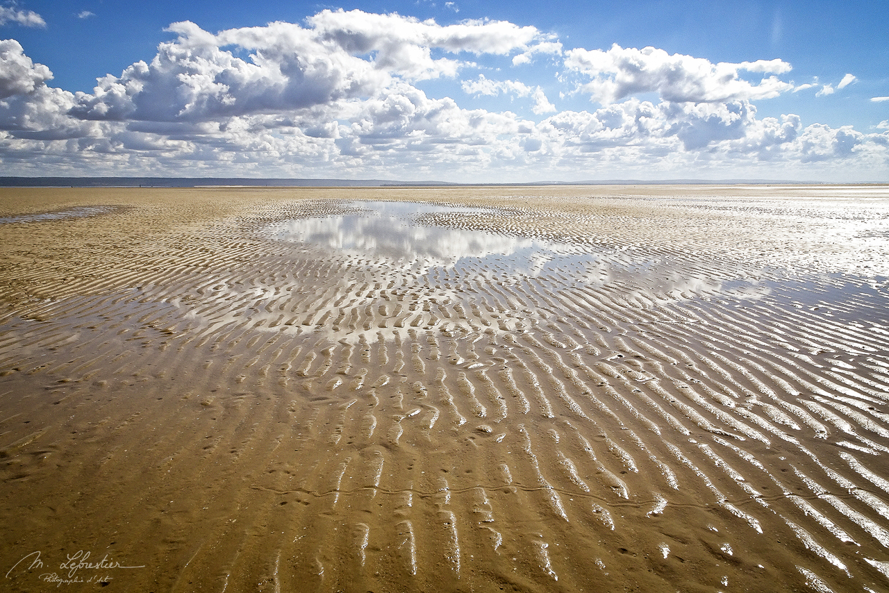 pansy-island-mozambique