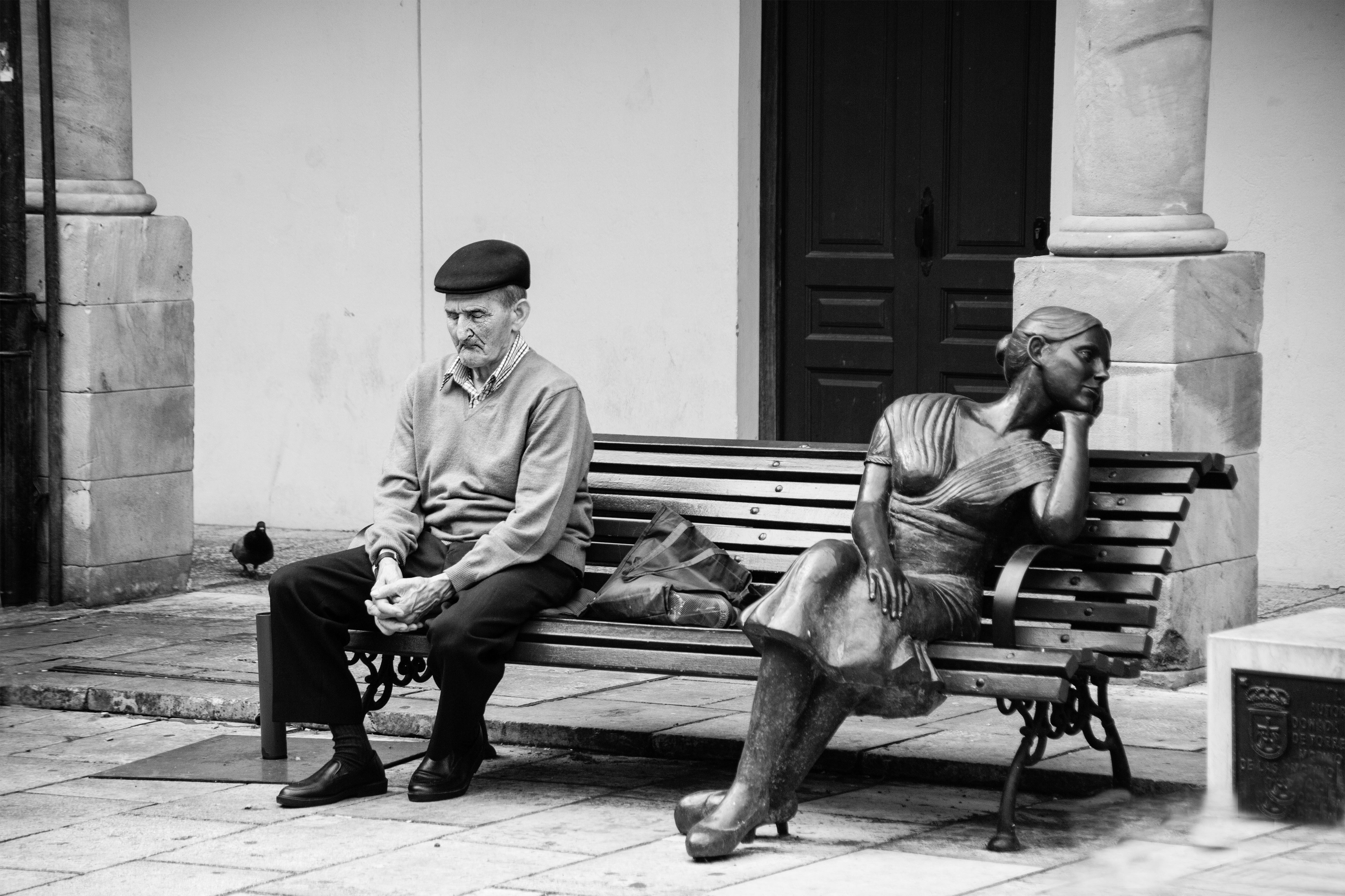 op-zoek-naar-gezelschap