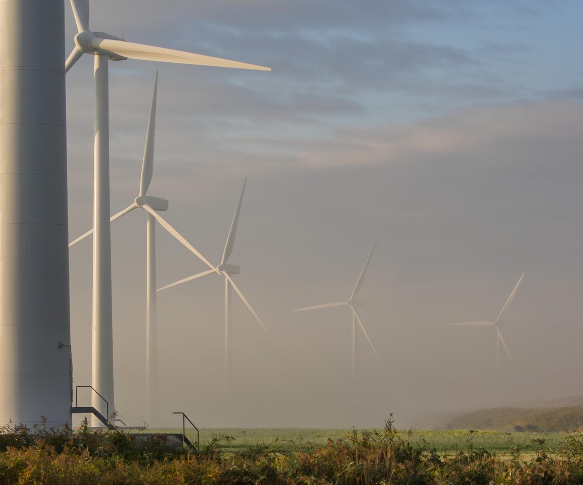 zo-ver-het-oog-reikt