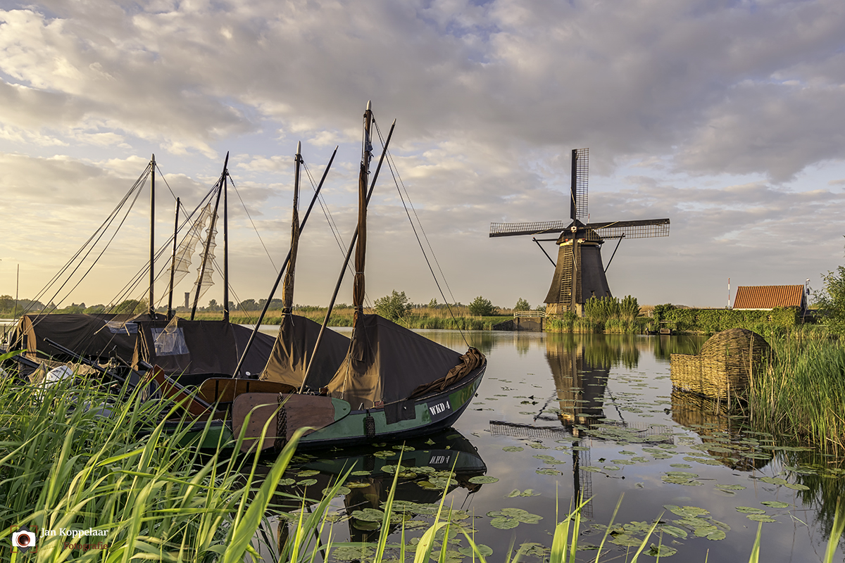 vijf-zalmschouwen-in-kinderdijk