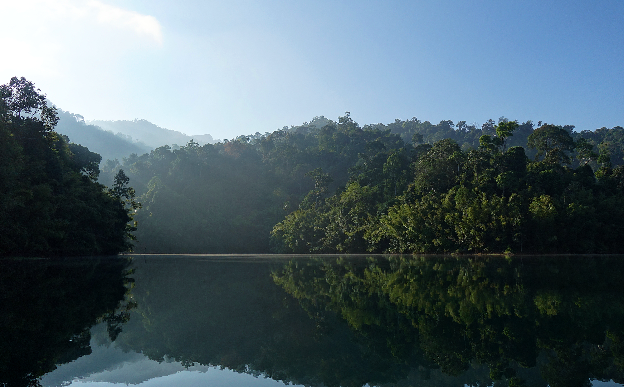 zonnestralen-in-de-vroege-ochtend