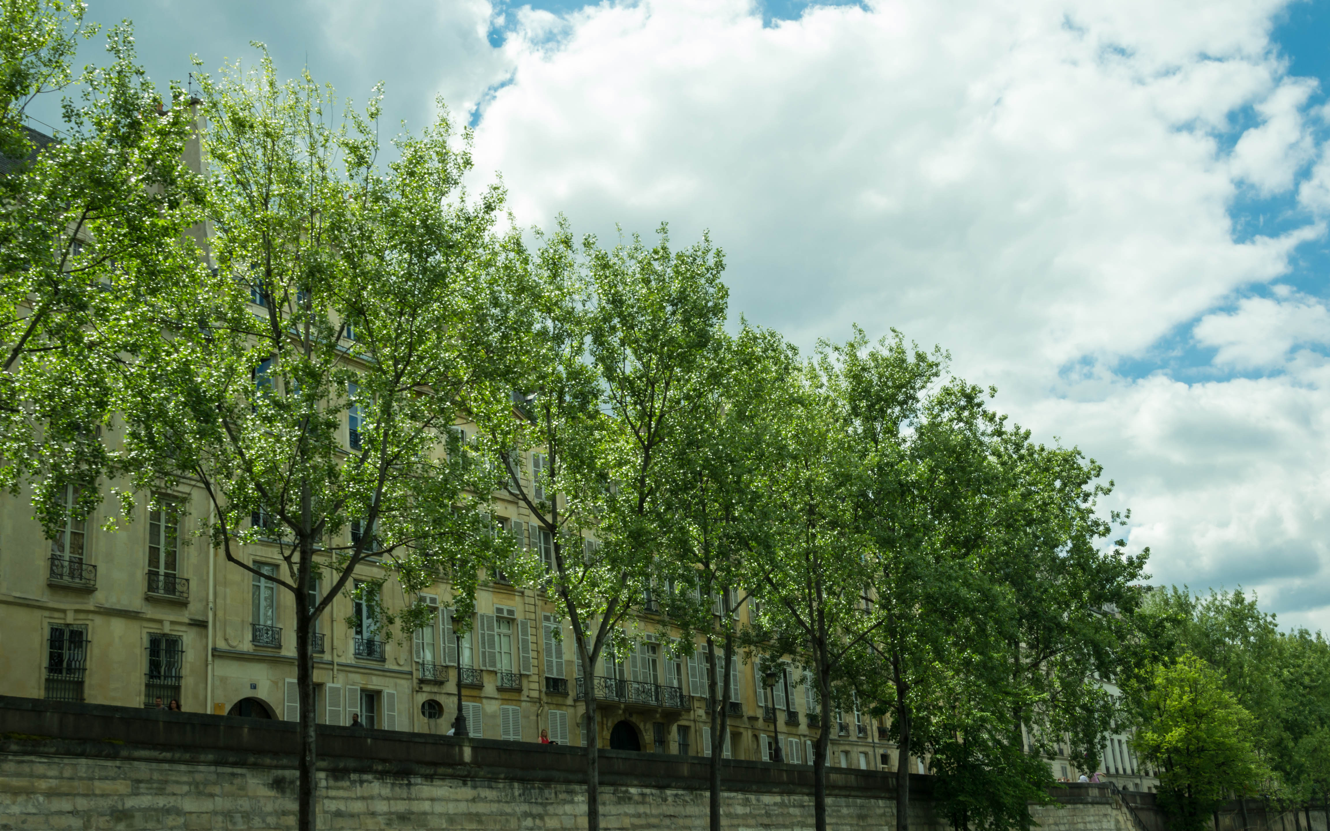 paris-en-mai-un-apres-midi
