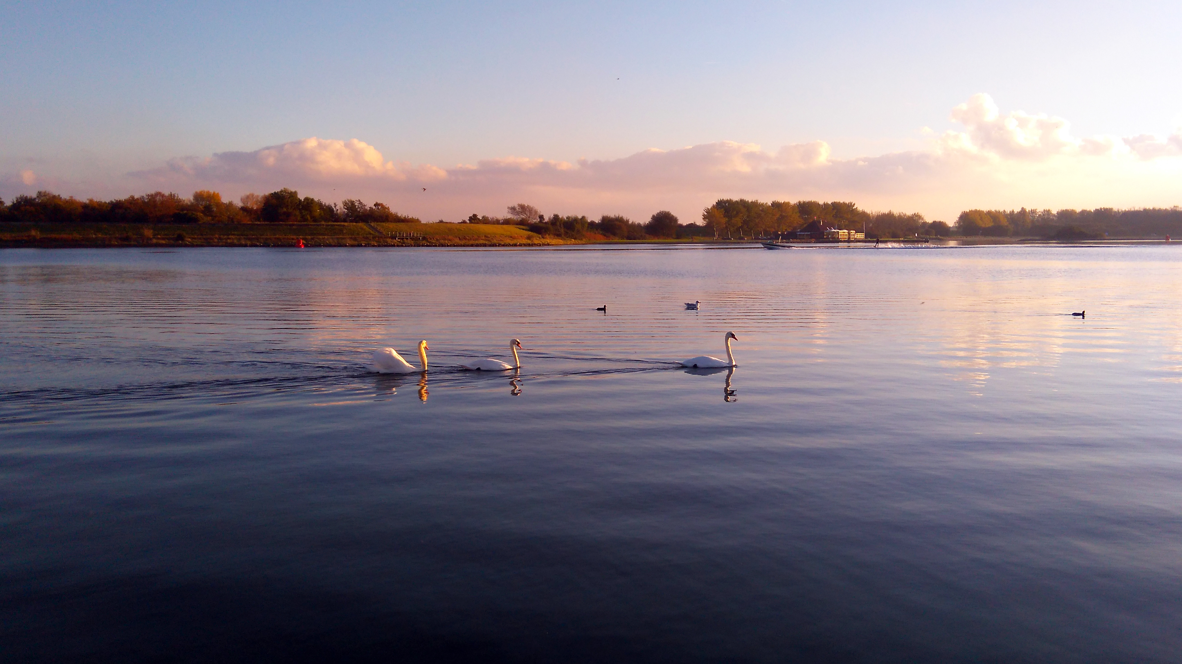 aan-het-veerse-meer-0