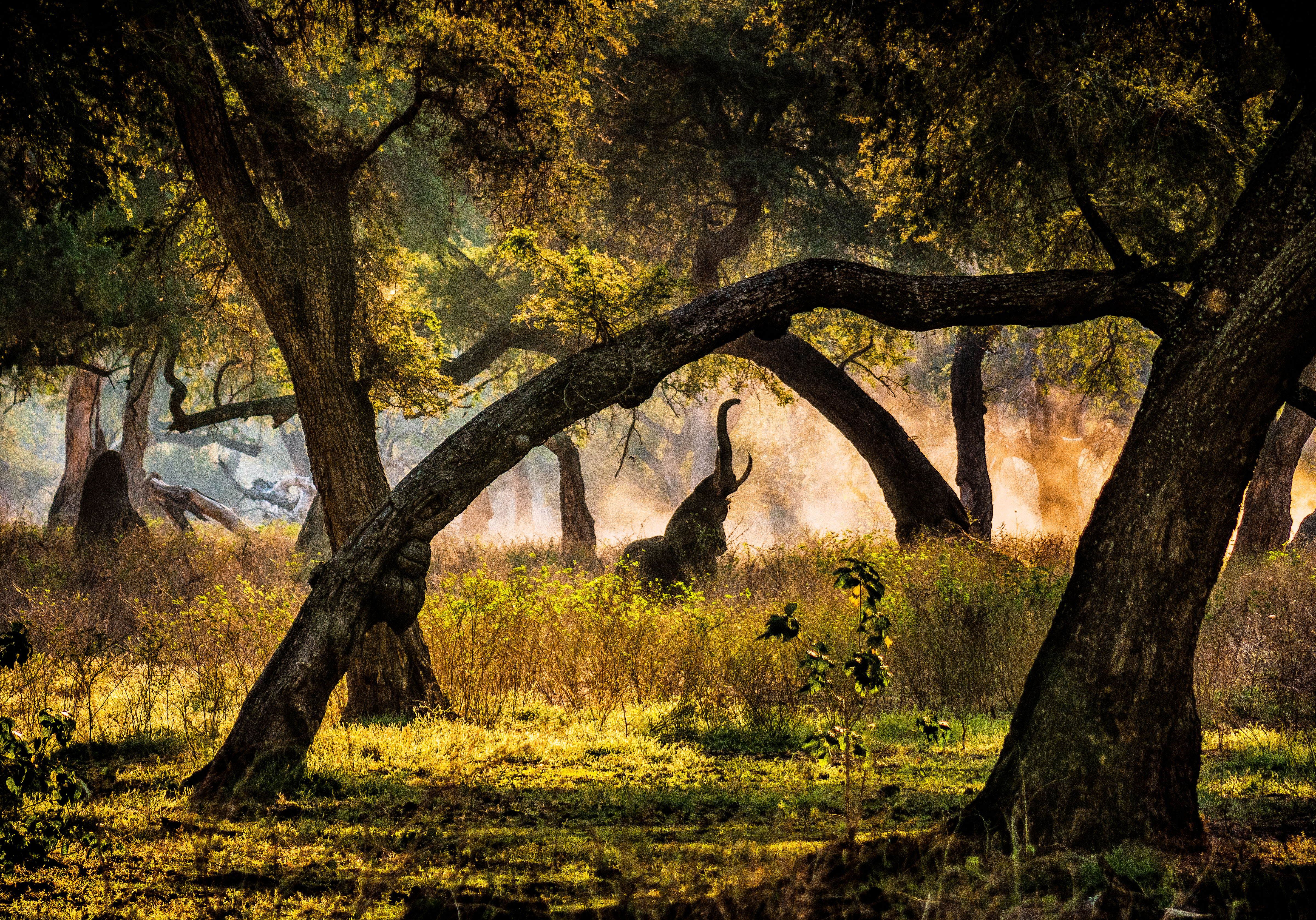 zonsondergang-in-manapools