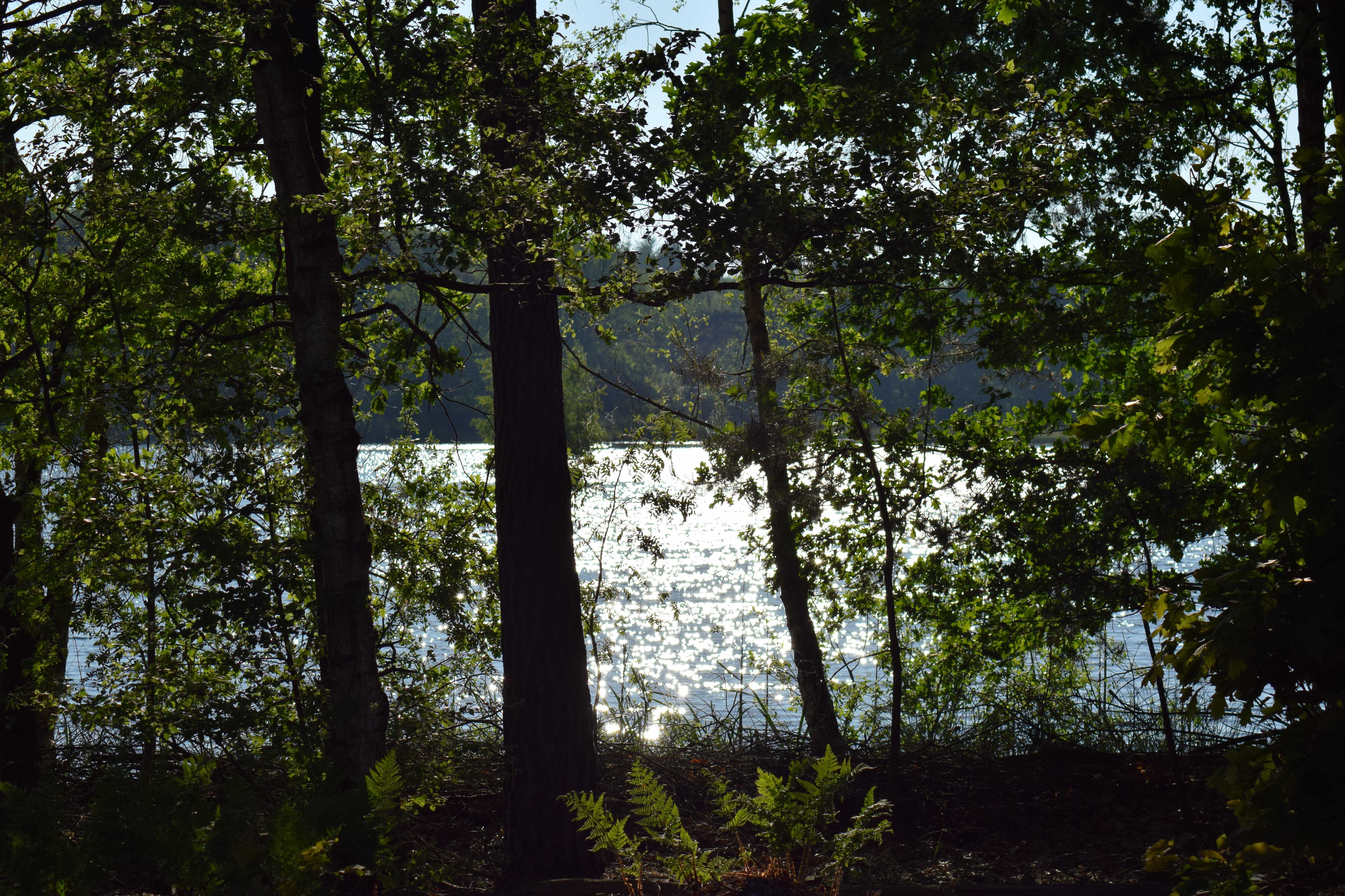 zonlicht-weerkaatst-in-het-water