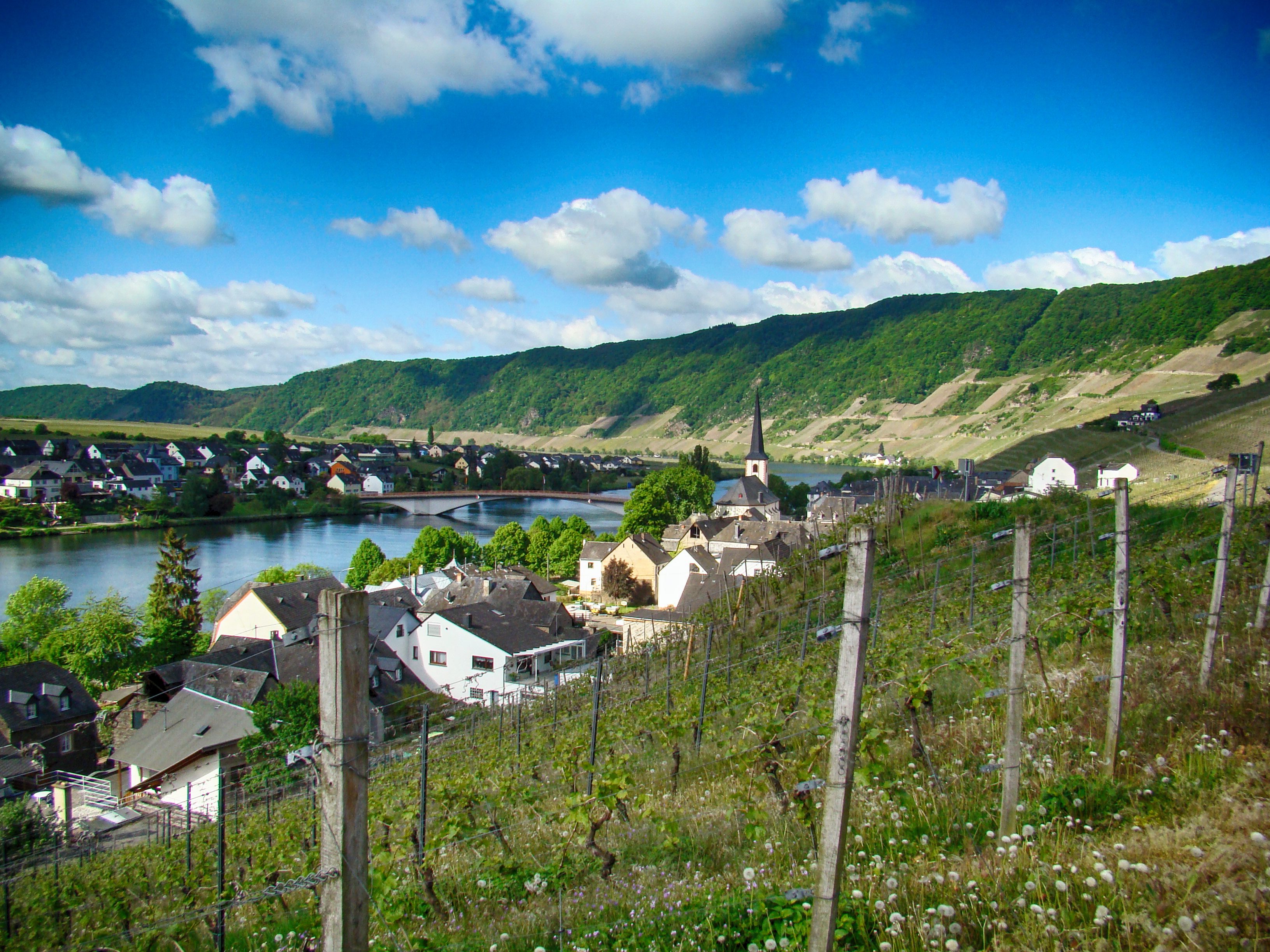 uitzicht-over-piesport