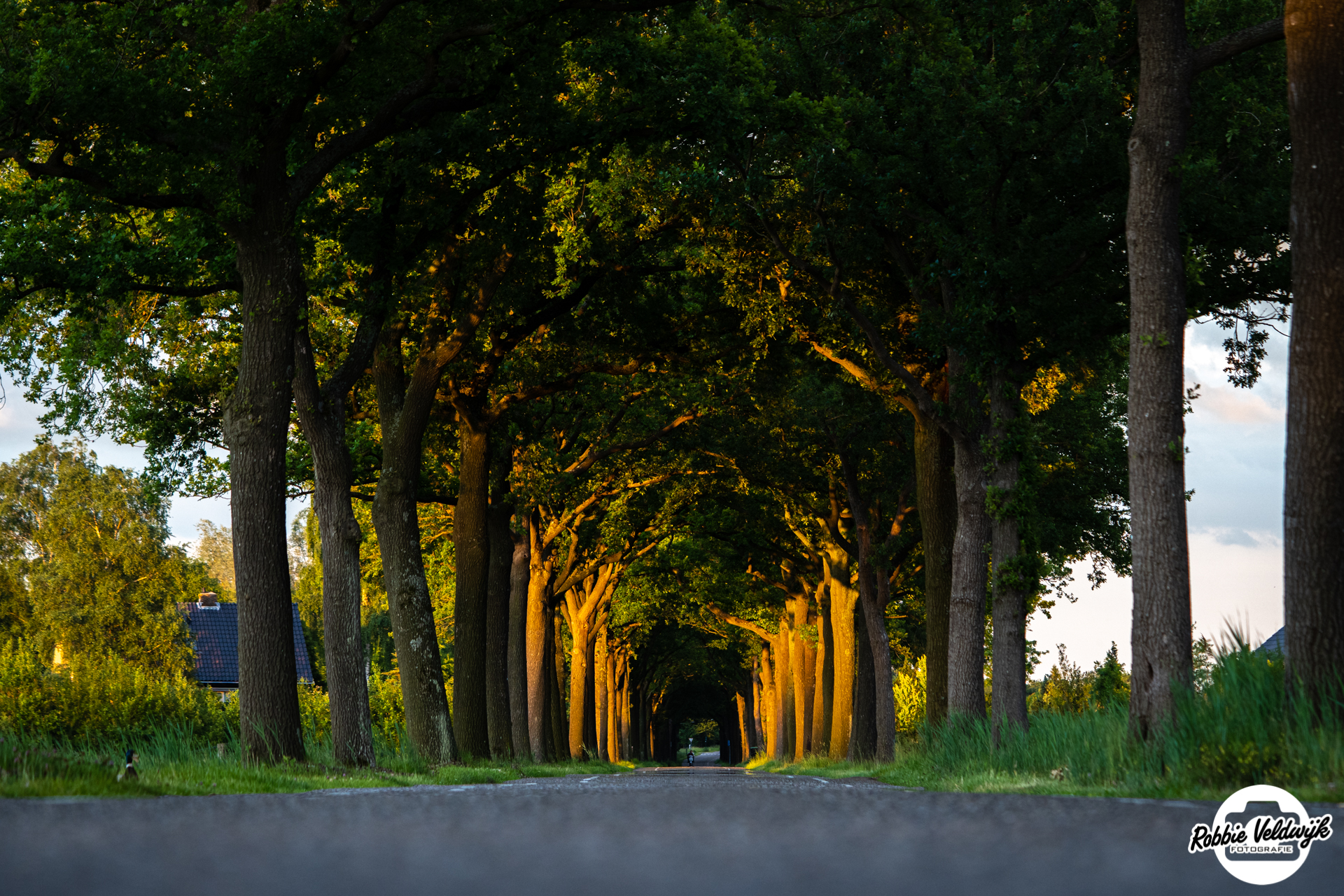 laatste-zonnestralen