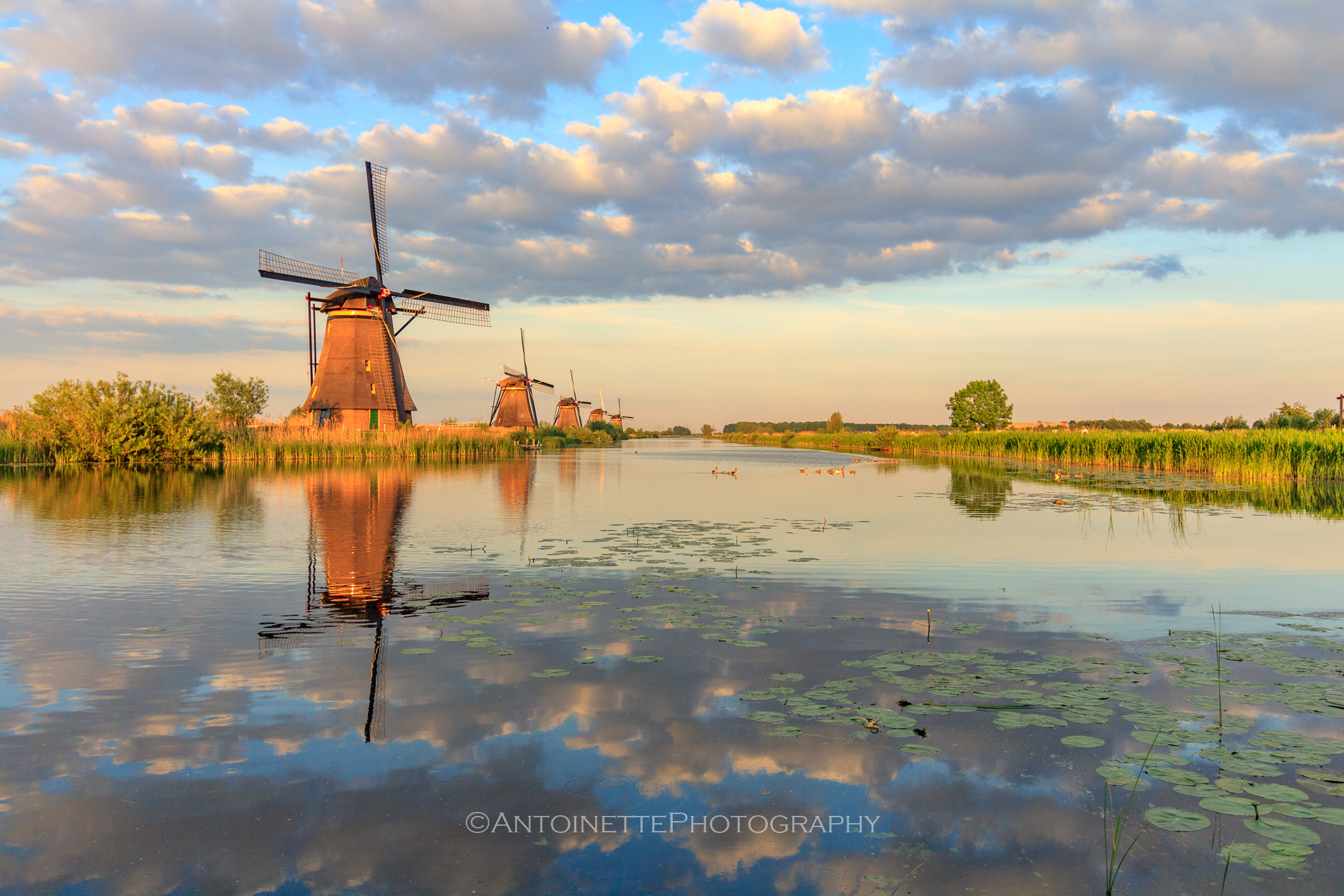 kinderdijk-3