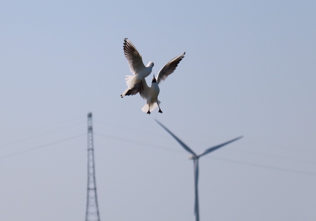 onenigheid-in-de-lucht