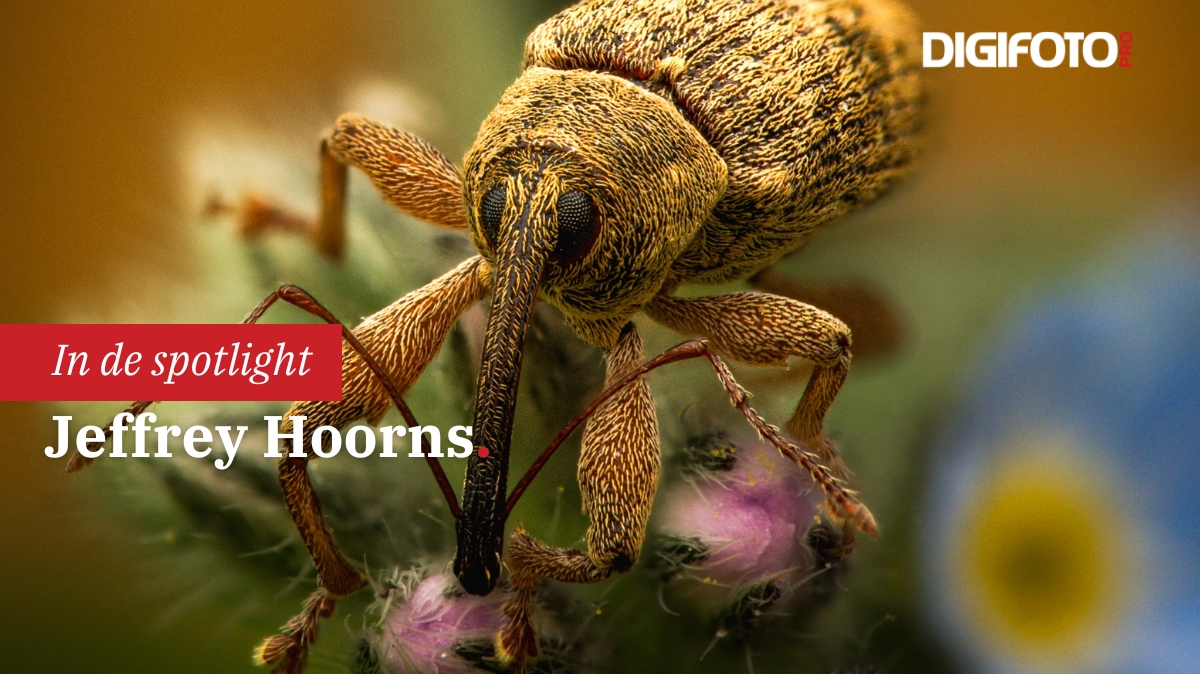 spotlight-van-de-week-7-digifoto-pro-gallery-0