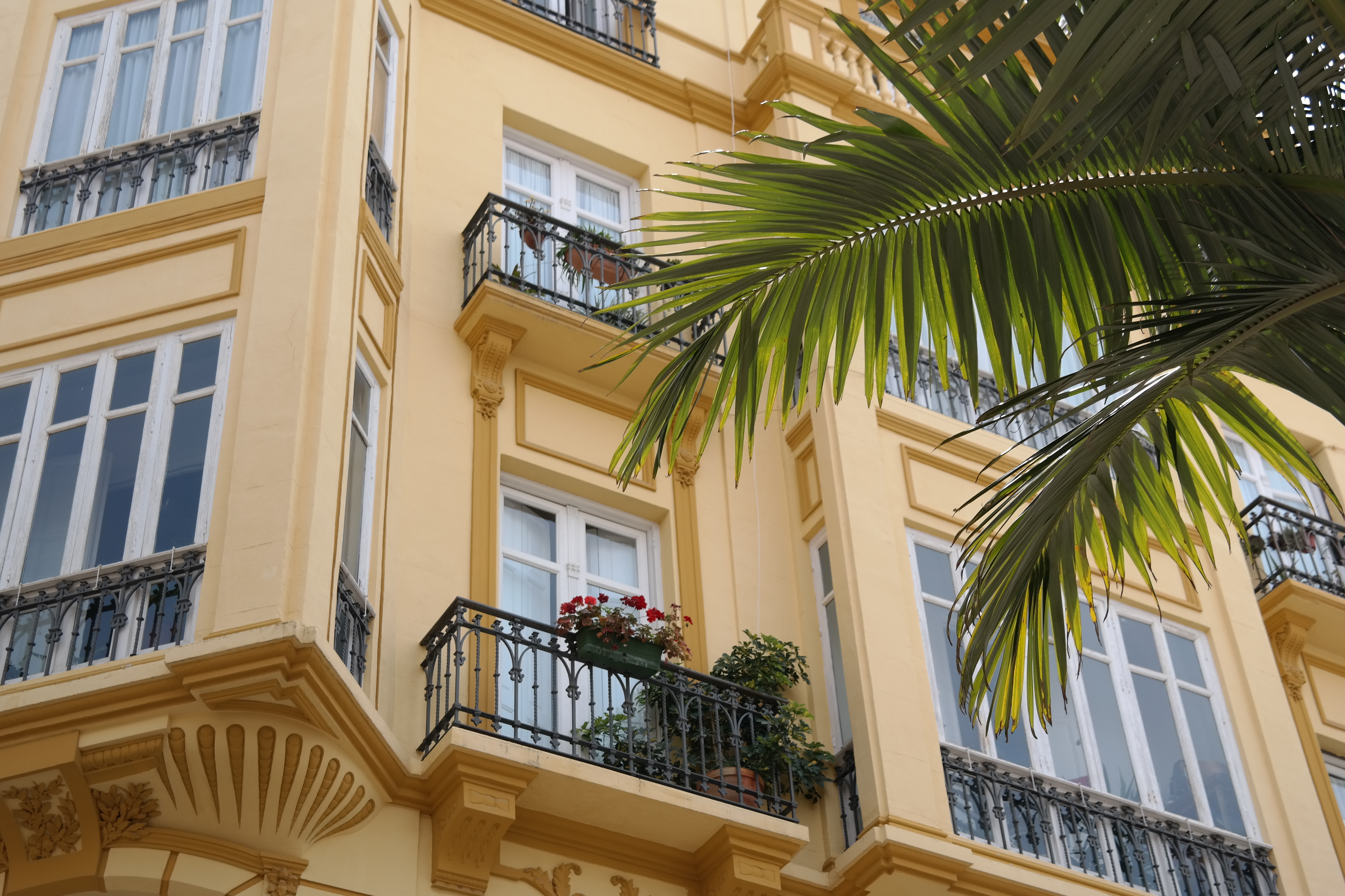 ultimate-summer-feelings