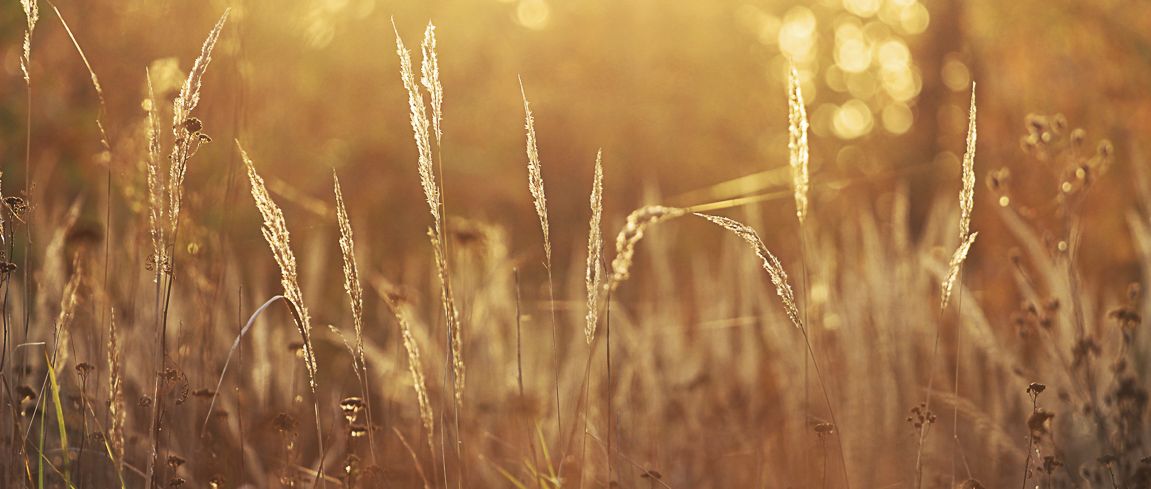 is-er-kwaliteitsverlies-elke-keer-dat-je-een-jpeg-opent-of-opslaat